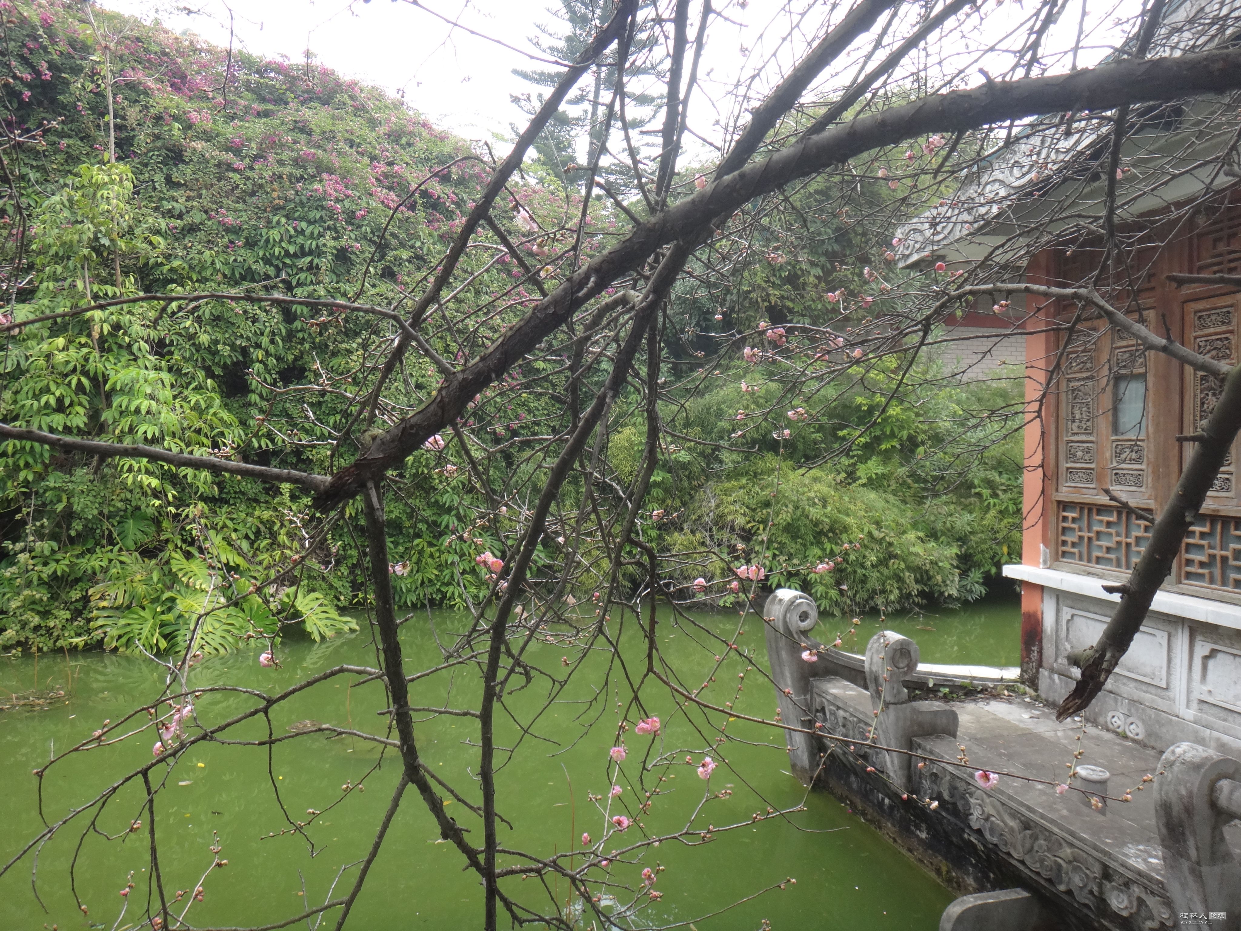 DSC07378.JPG