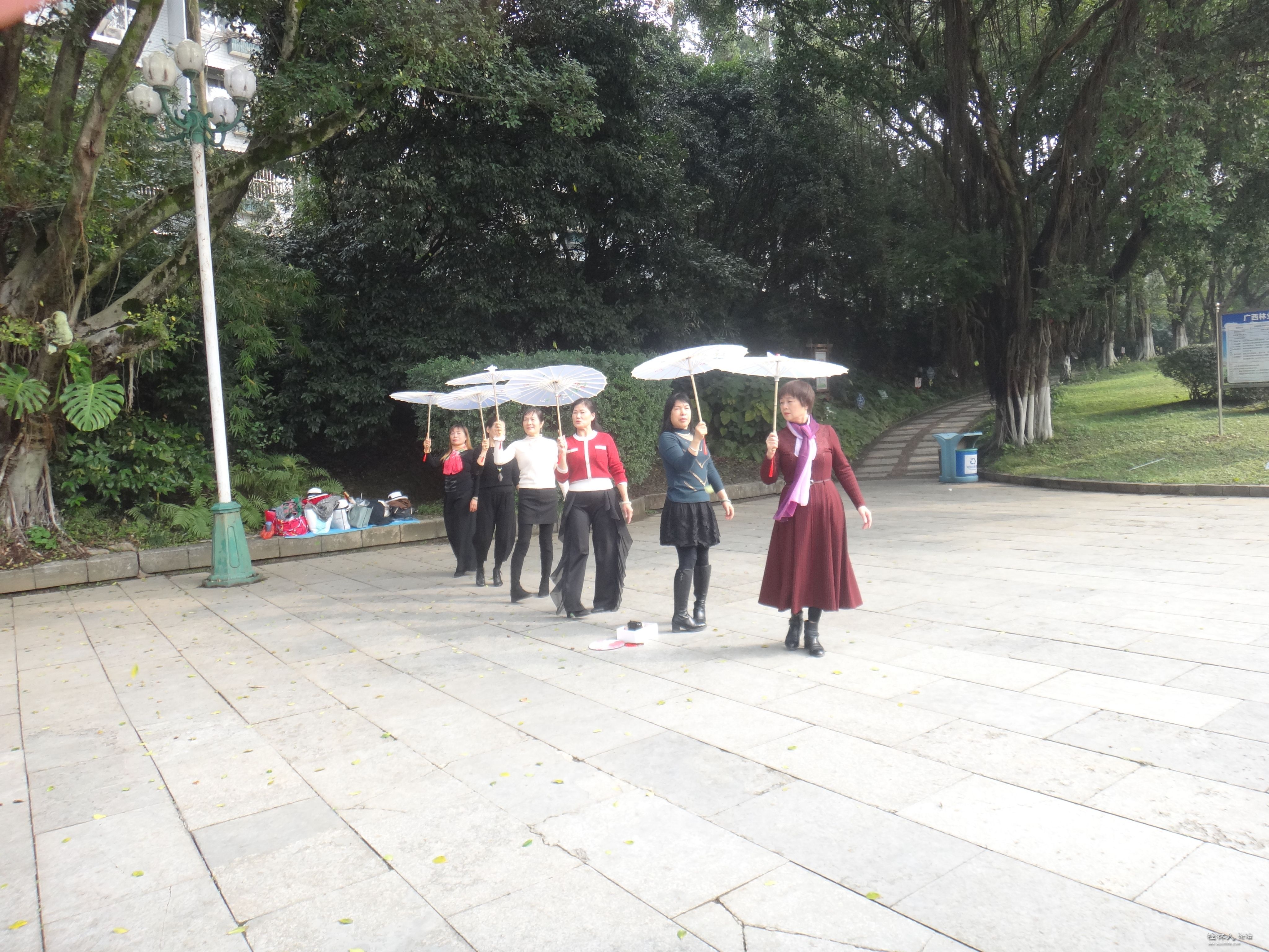 DSC07388.JPG