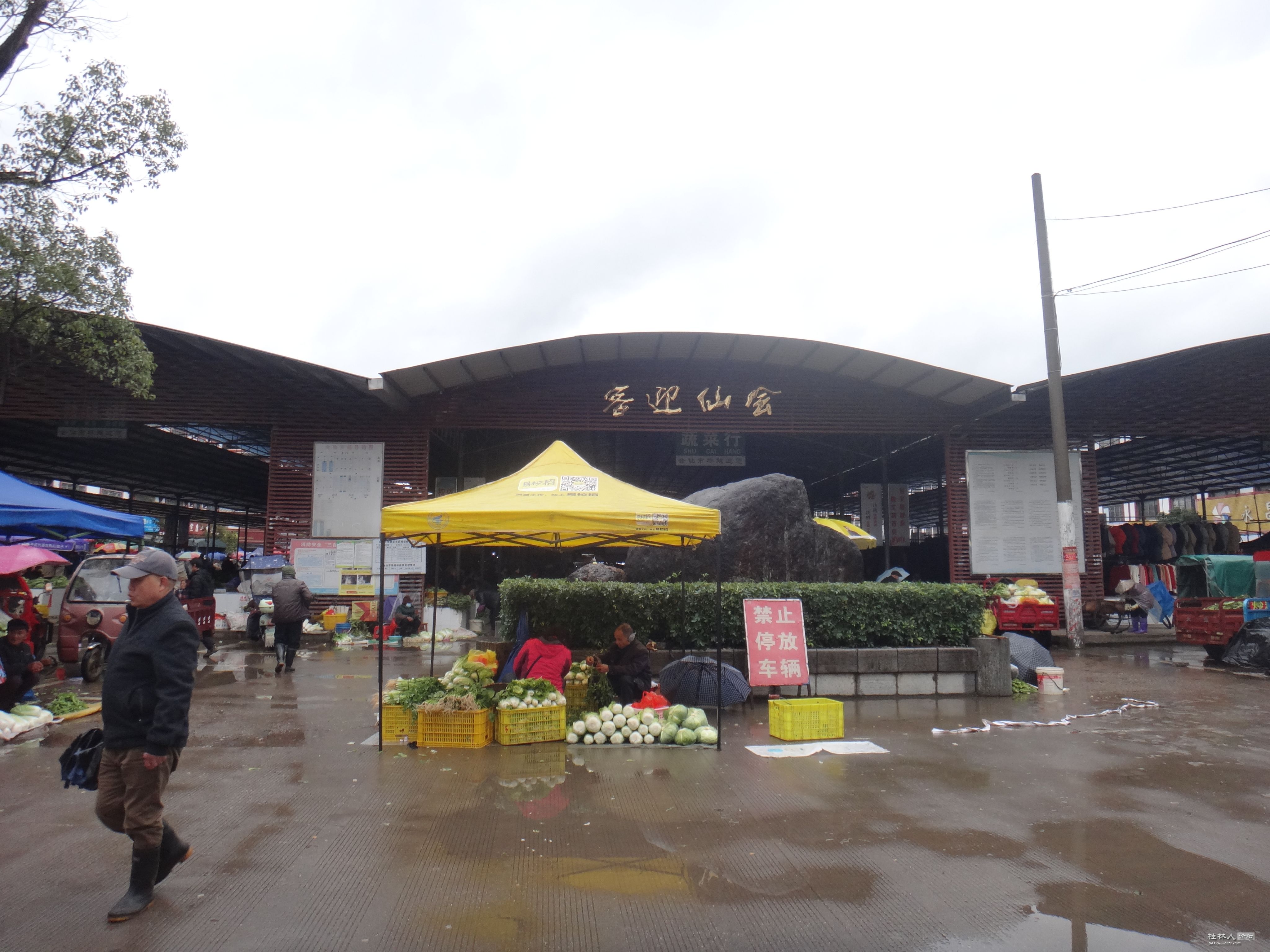 DSC07435.JPG
