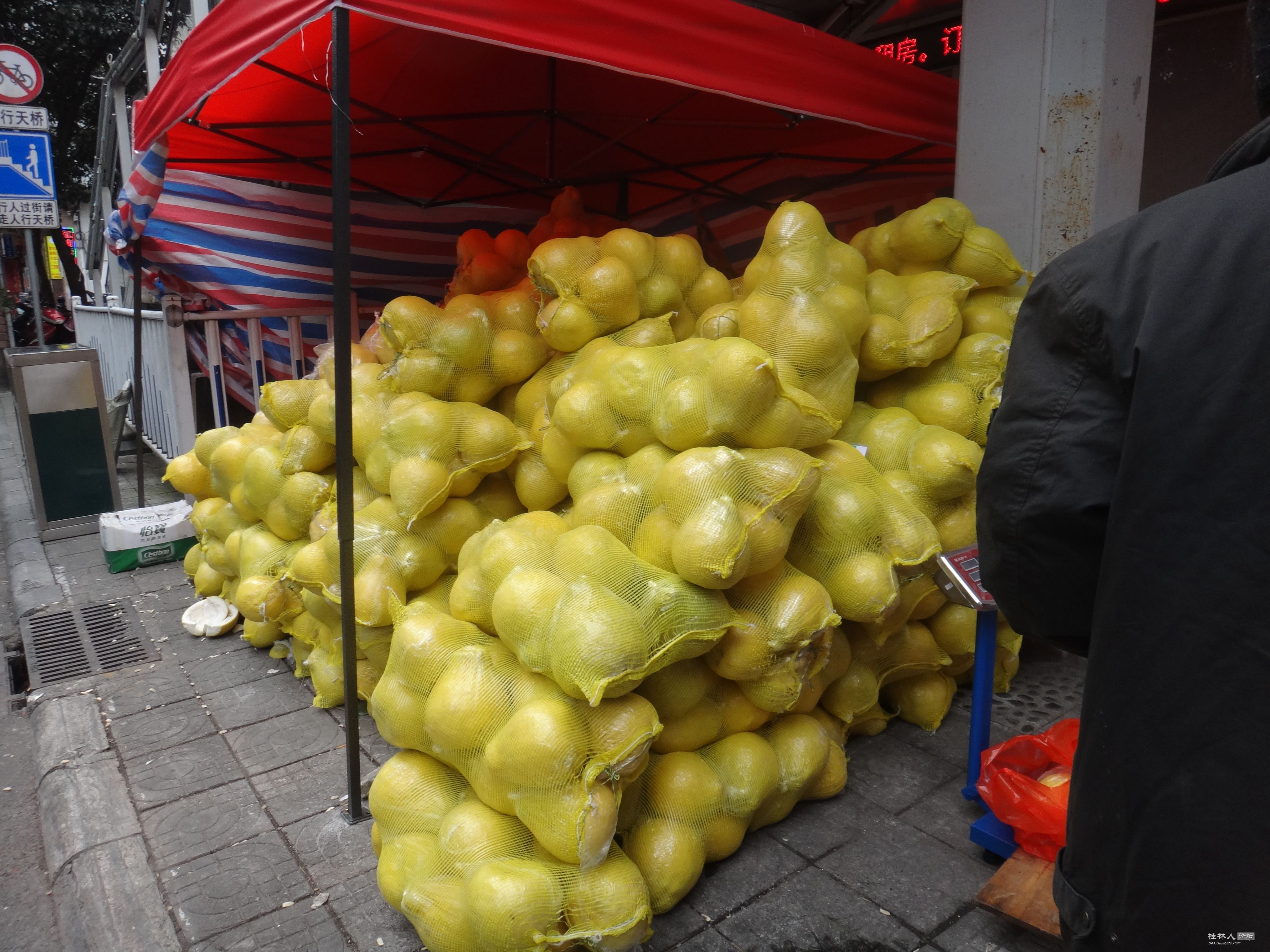 DSC07461.JPG