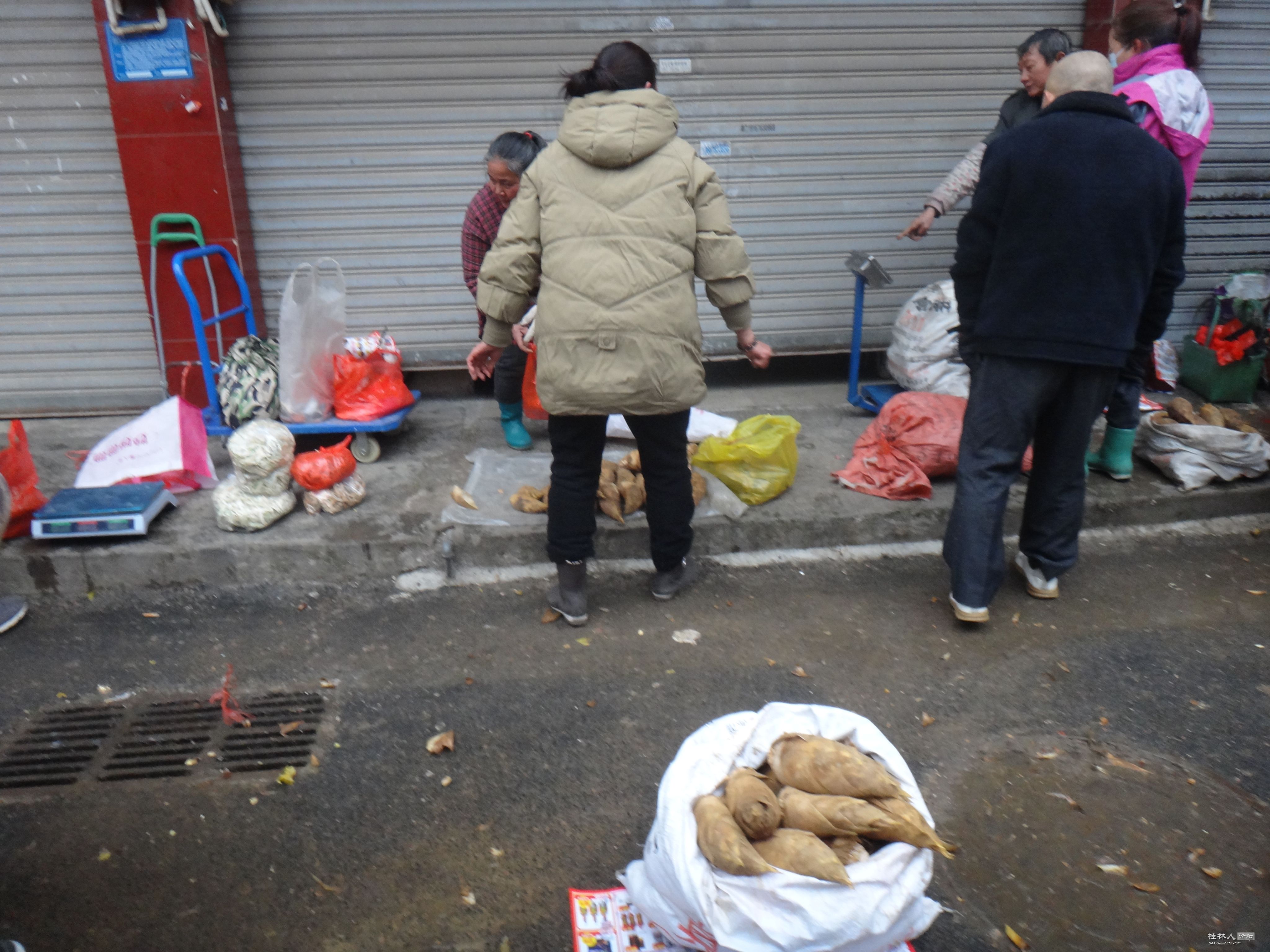DSC07503.JPG