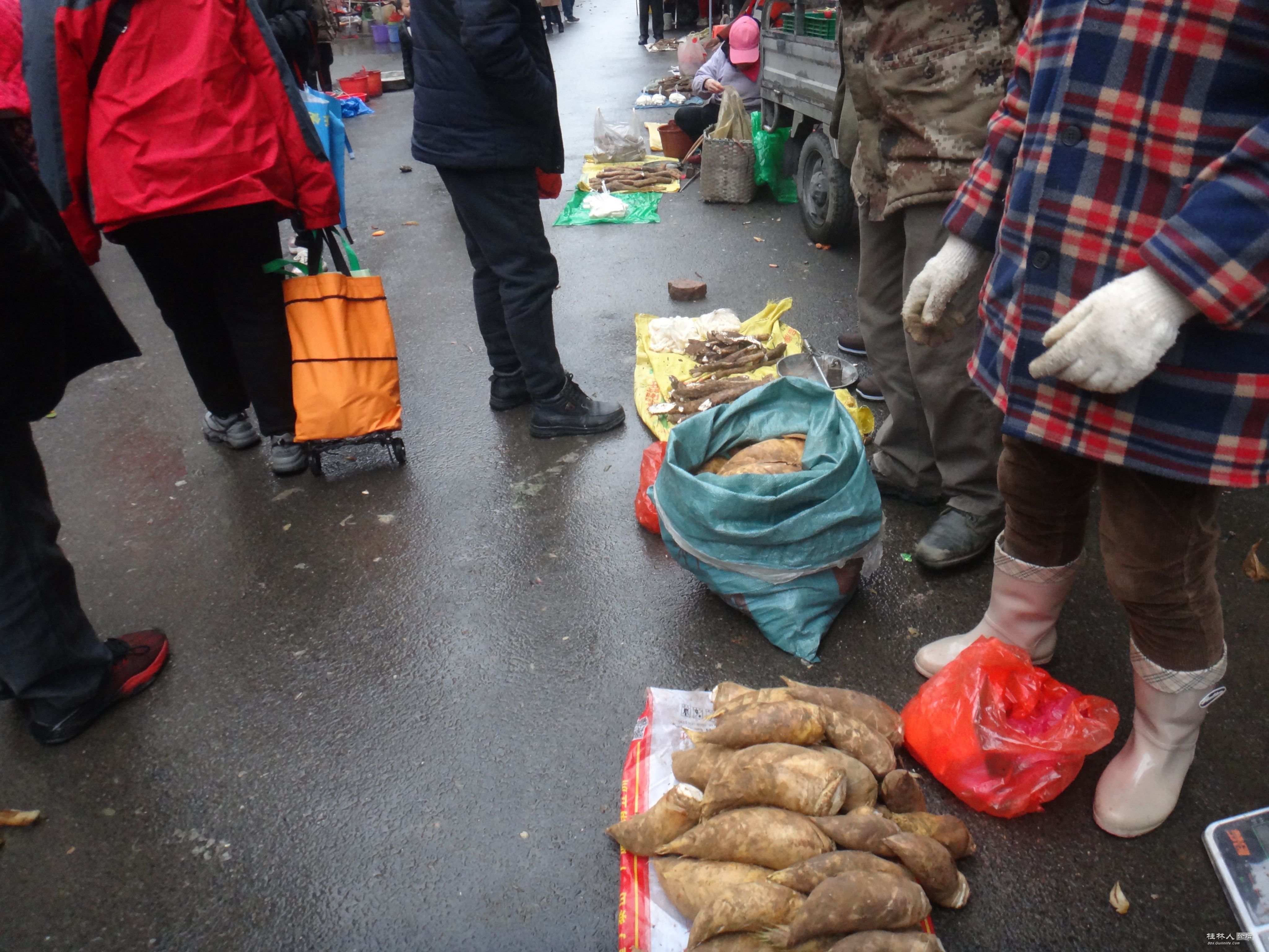 DSC07505.JPG