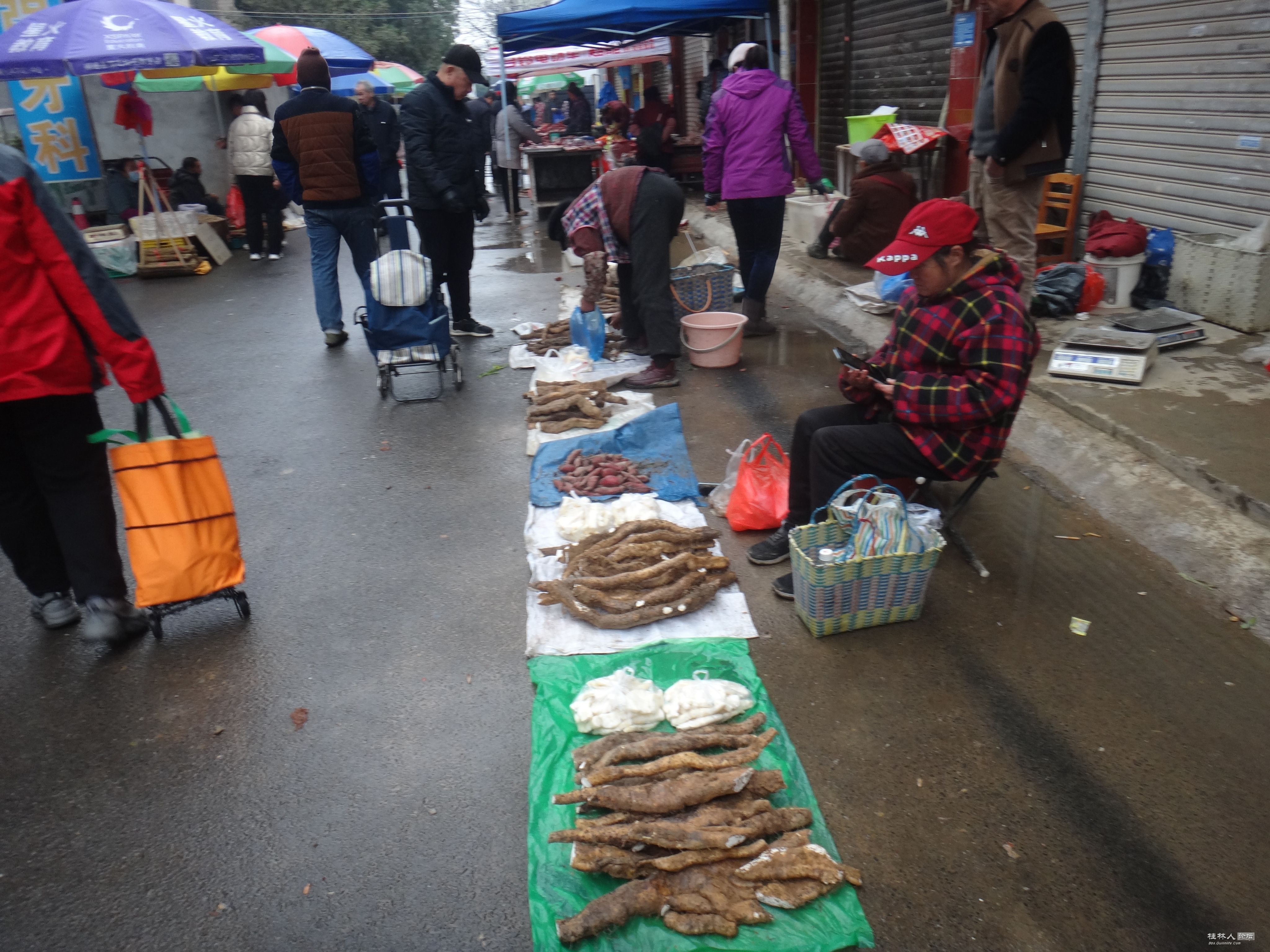 DSC07506.JPG