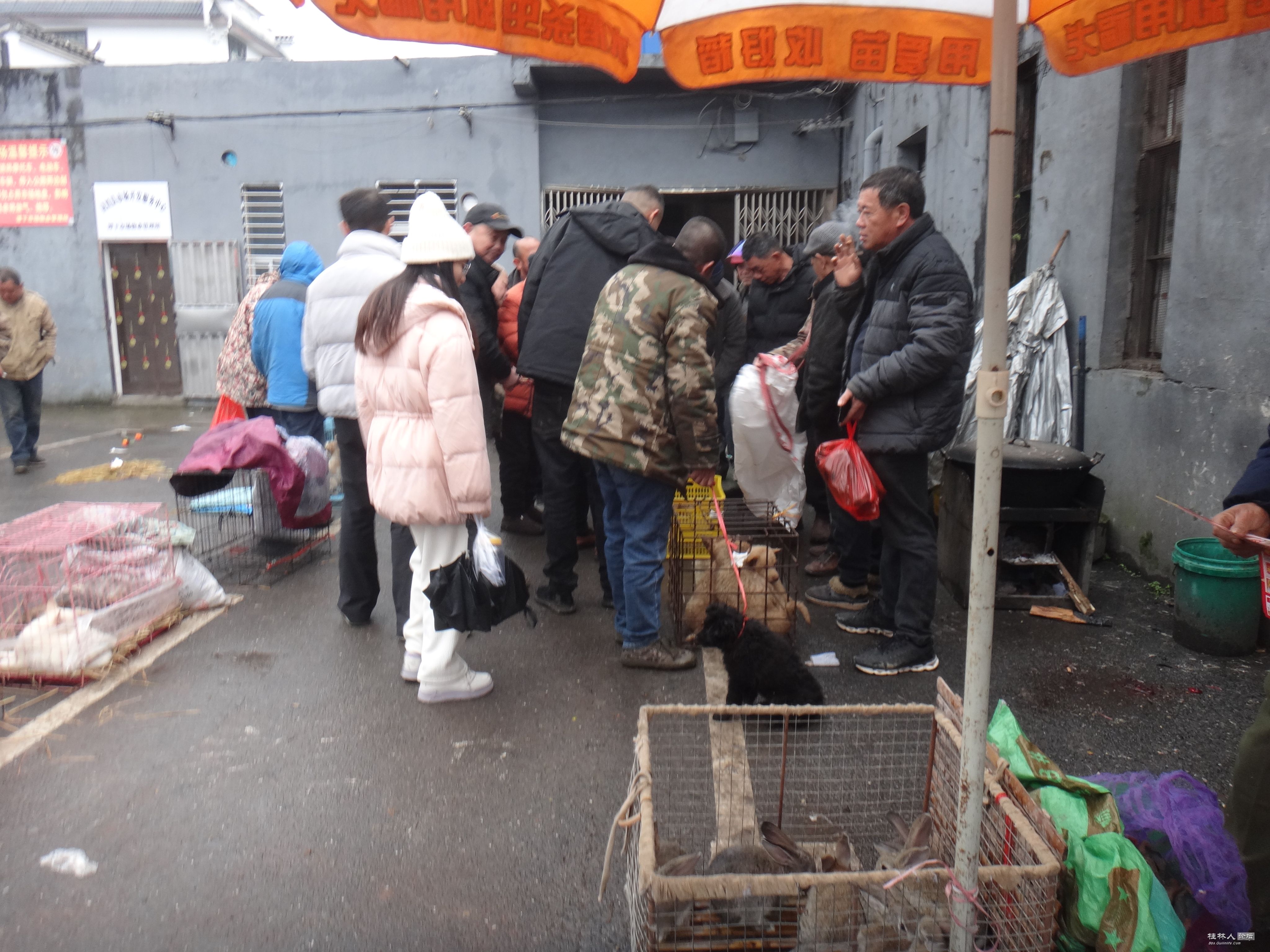 DSC07512.JPG