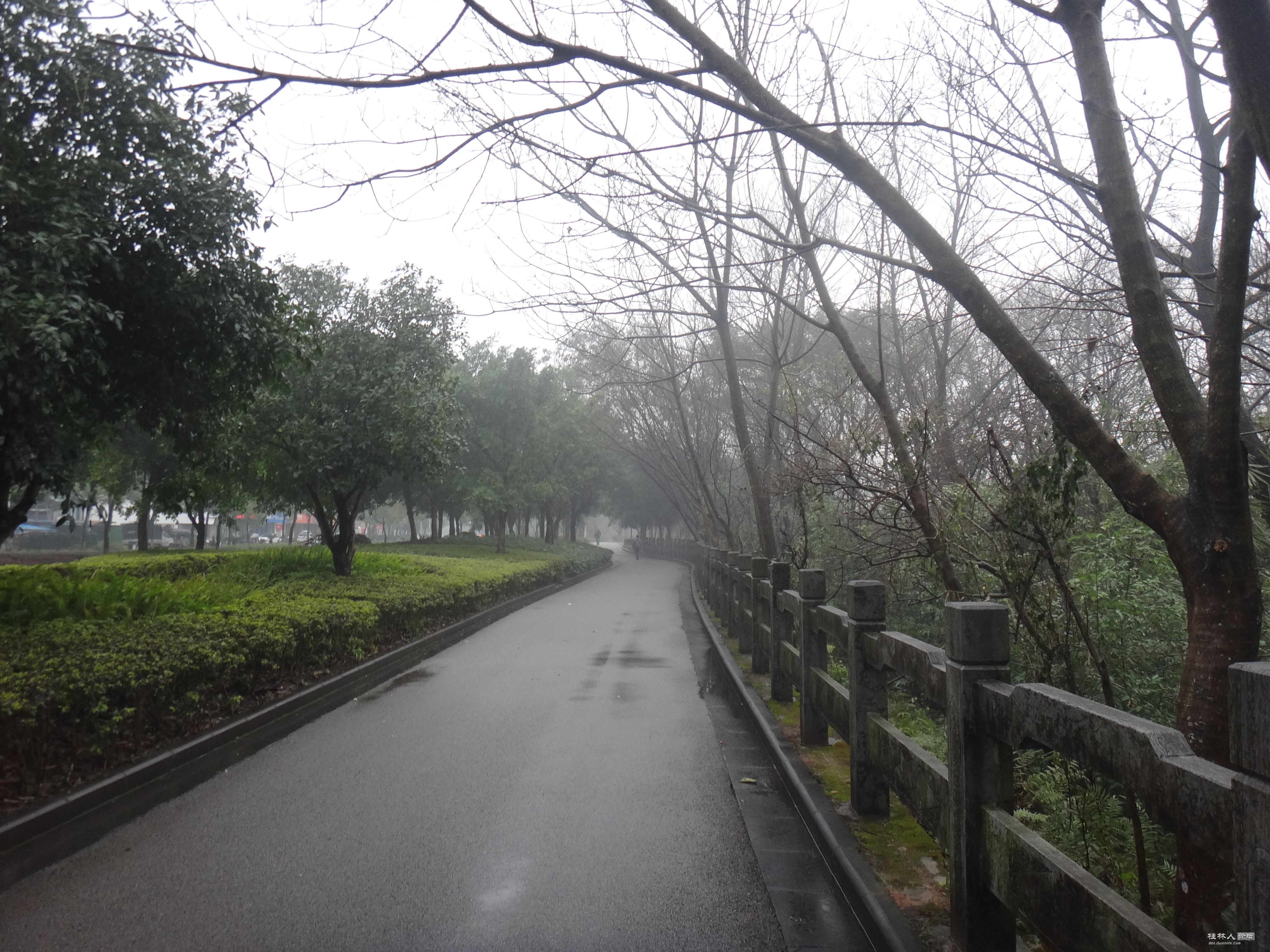 DSC07563.JPG