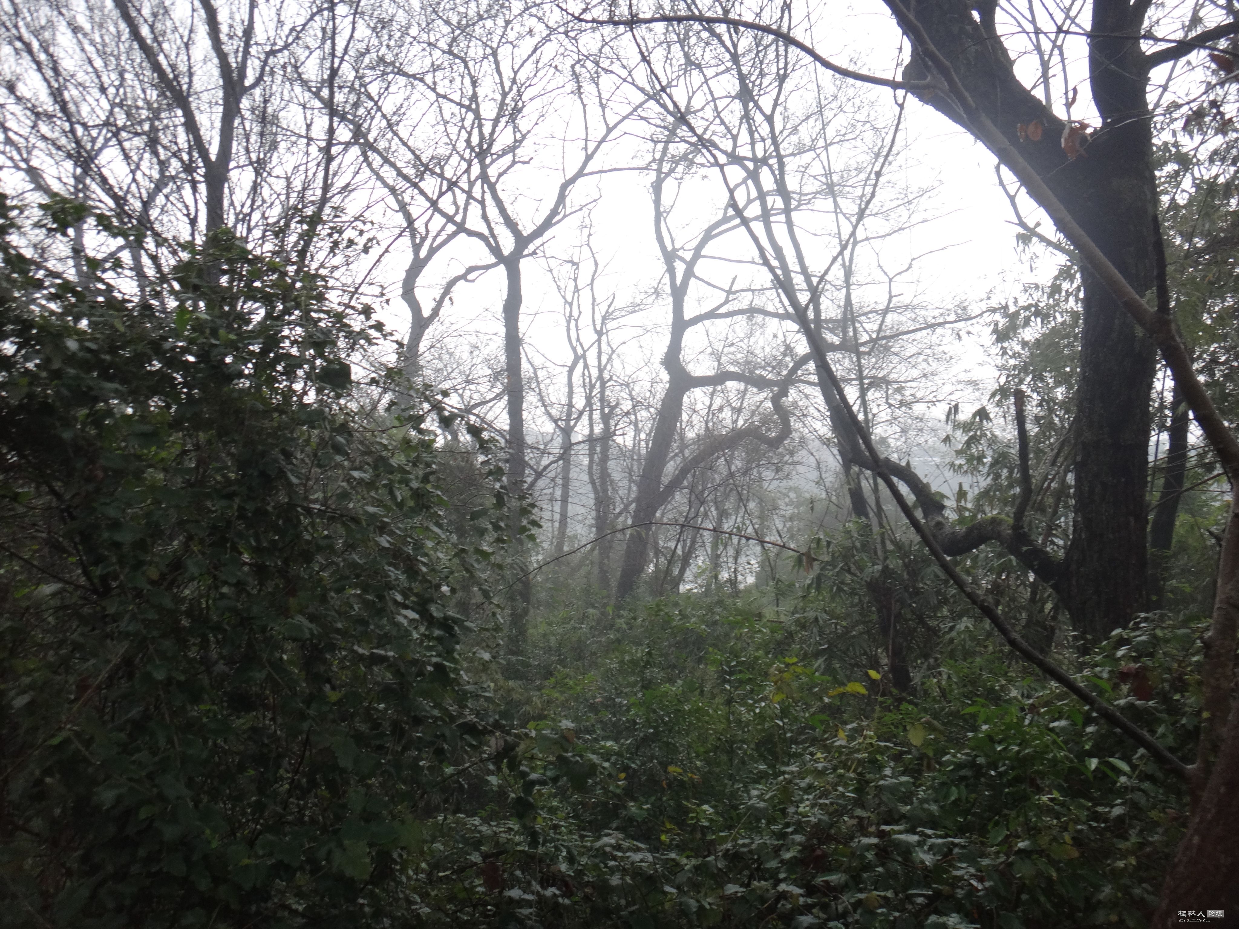 DSC07564.JPG
