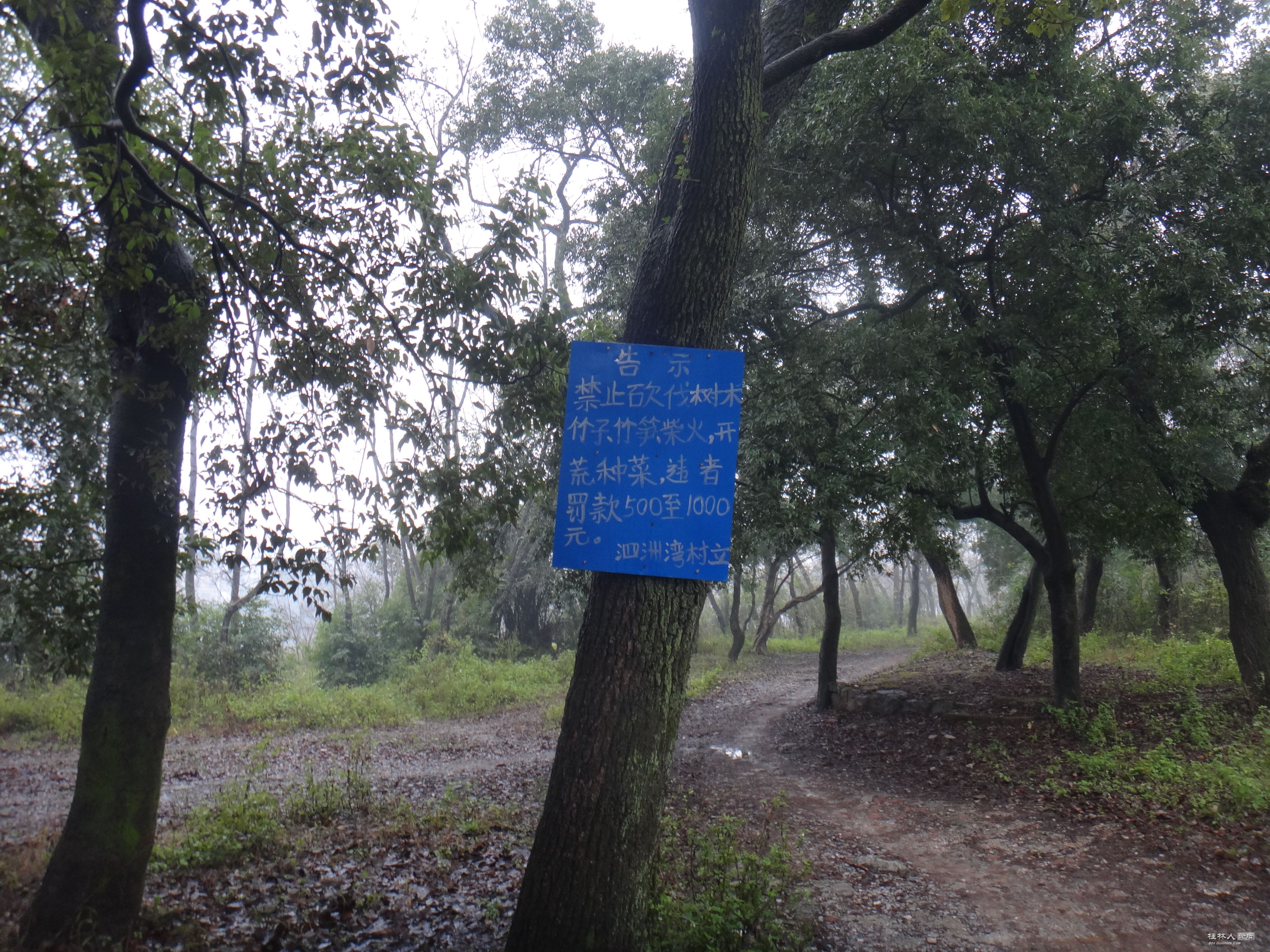 DSC07565.JPG