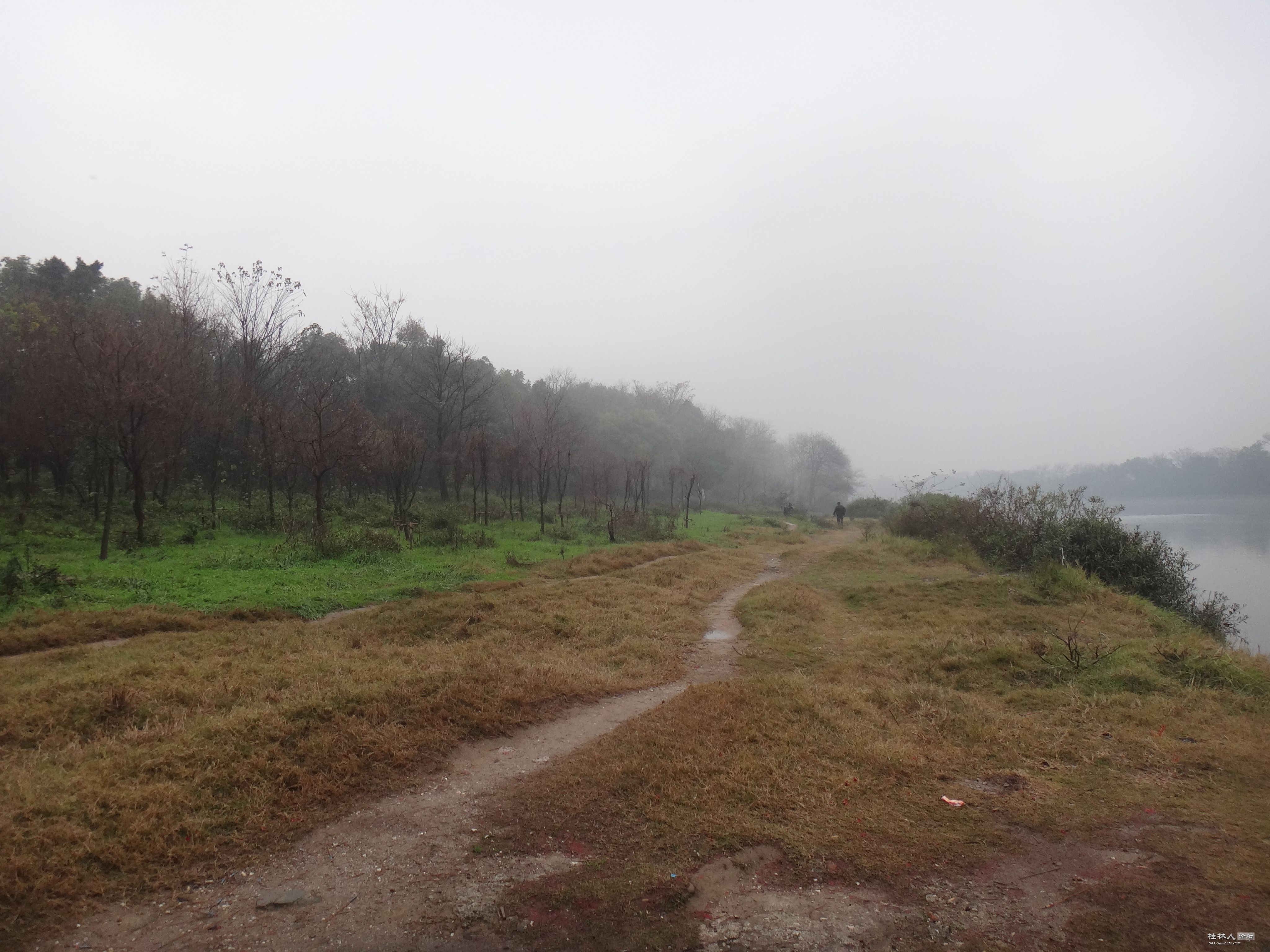 DSC07572.JPG