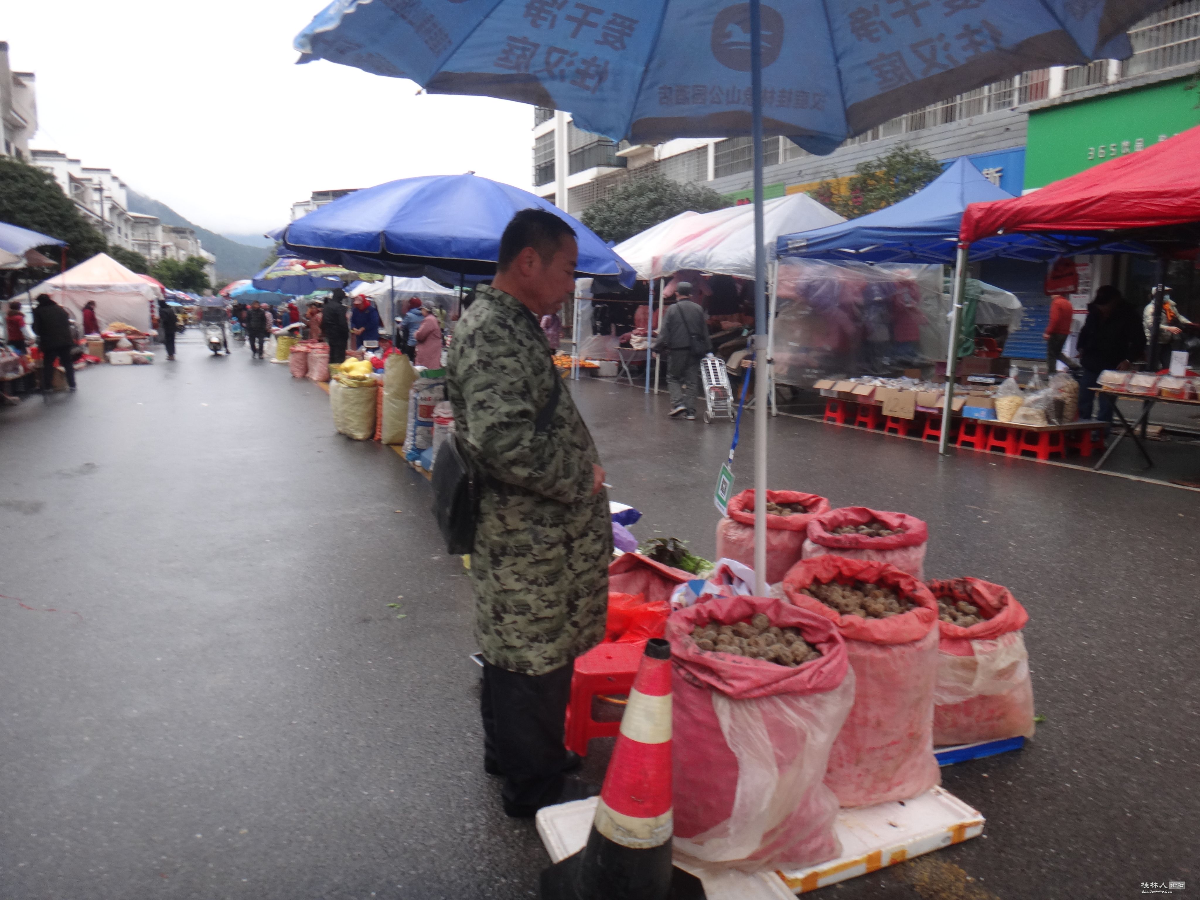DSC07585.JPG