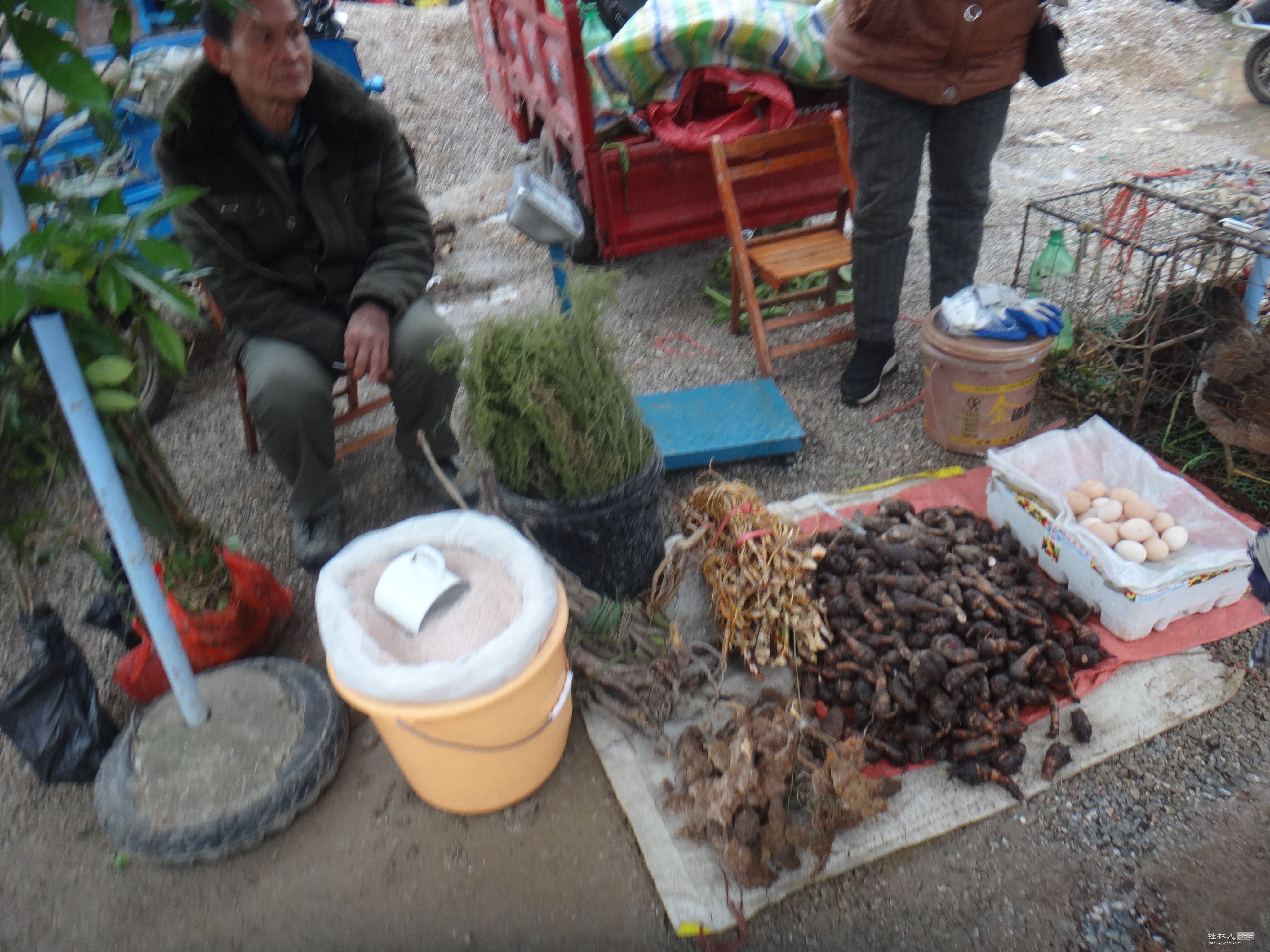 DSC07595.JPG