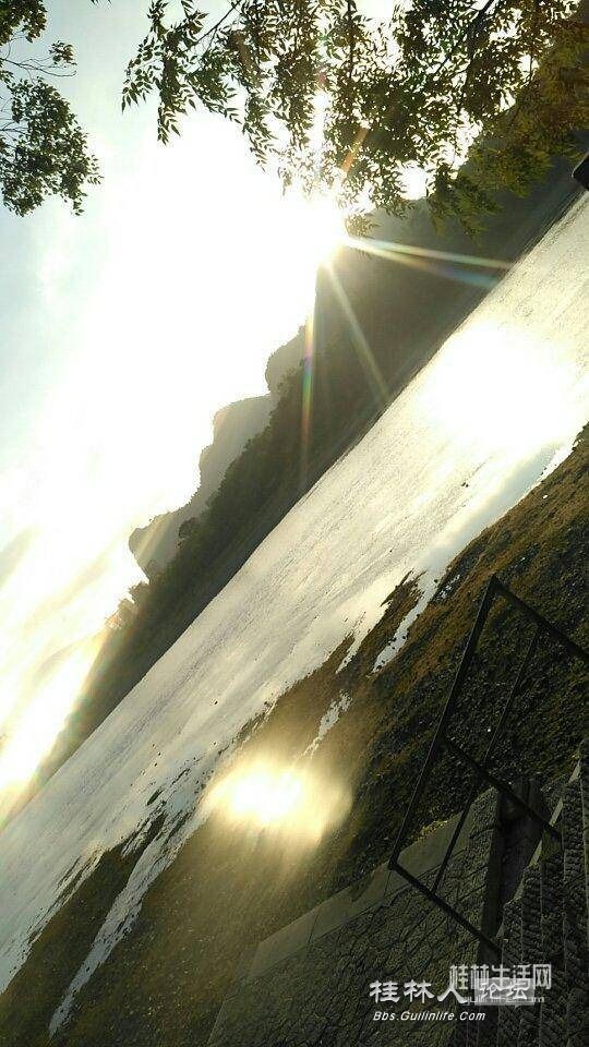 1705897117021.jpg