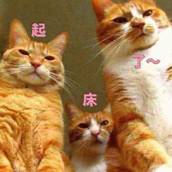 .gif