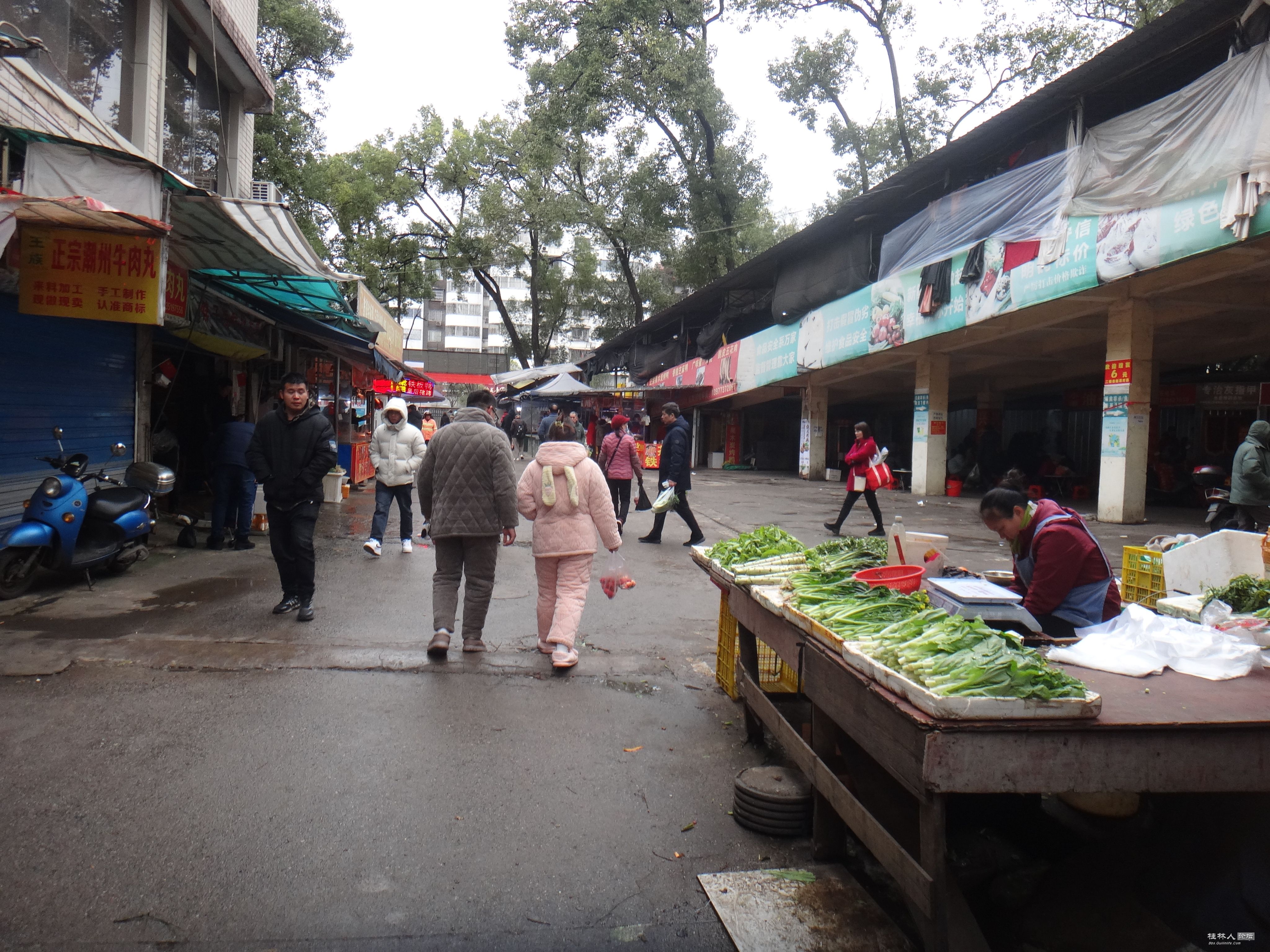 DSC07973.JPG