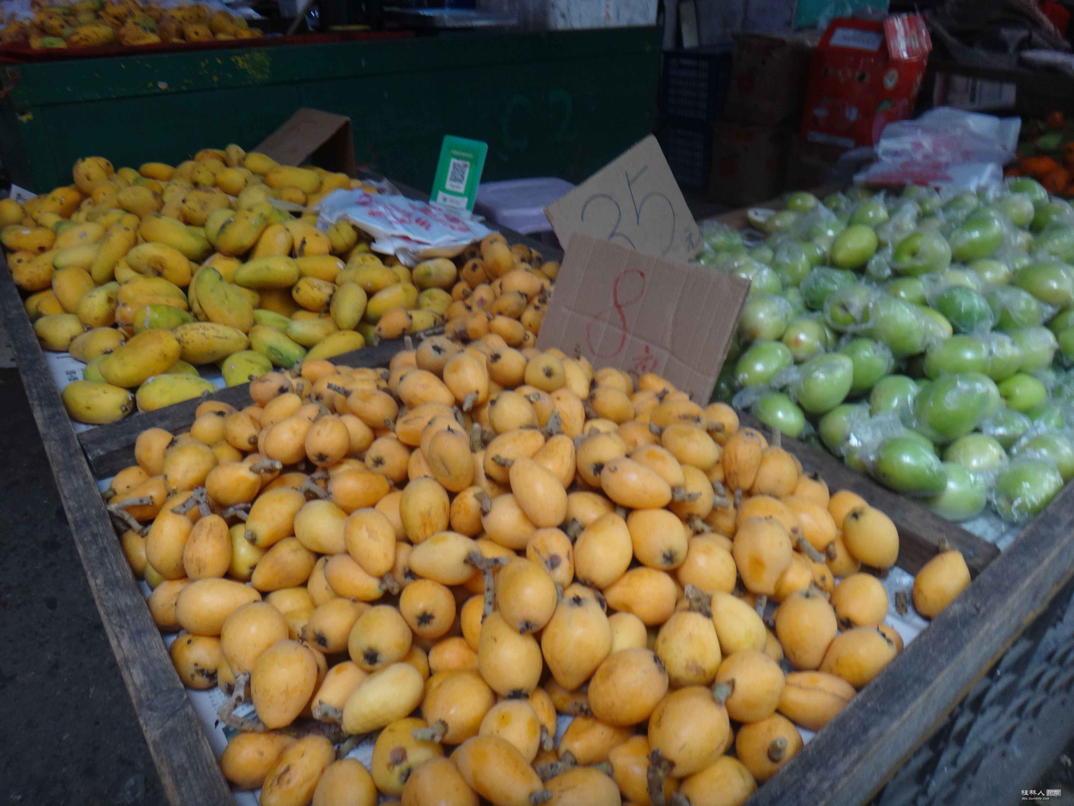DSC07972.JPG