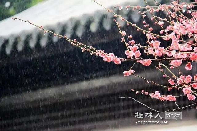 u=948550238,40672886&fm=253&fmt=auto&app=138&f=JPEG.webp.jpg