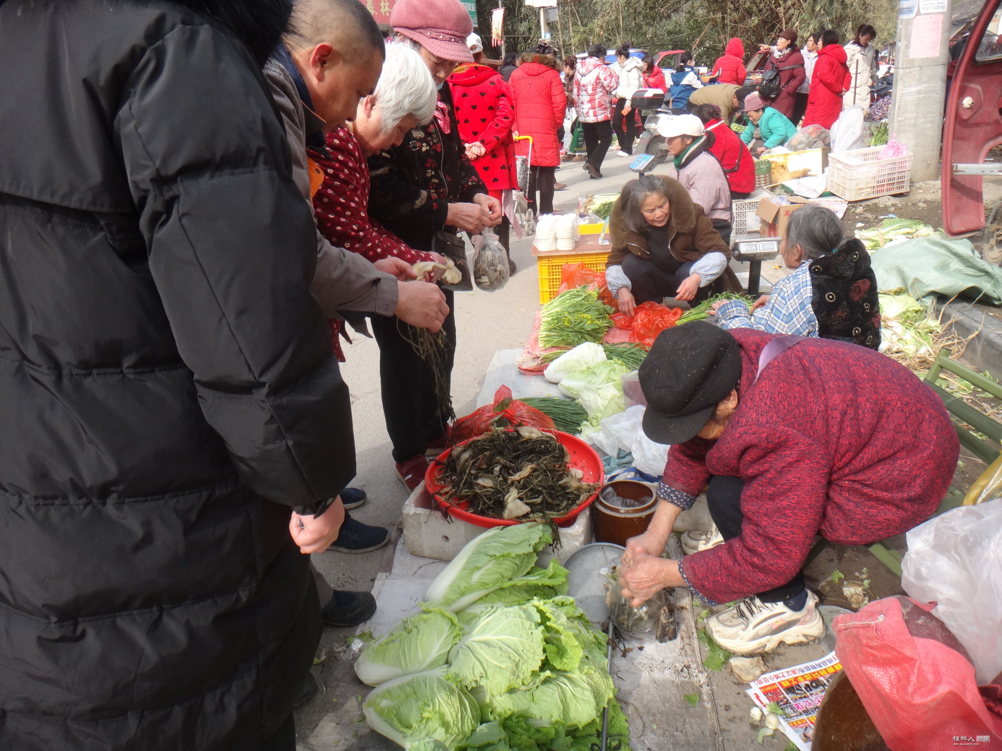DSC08010.JPG