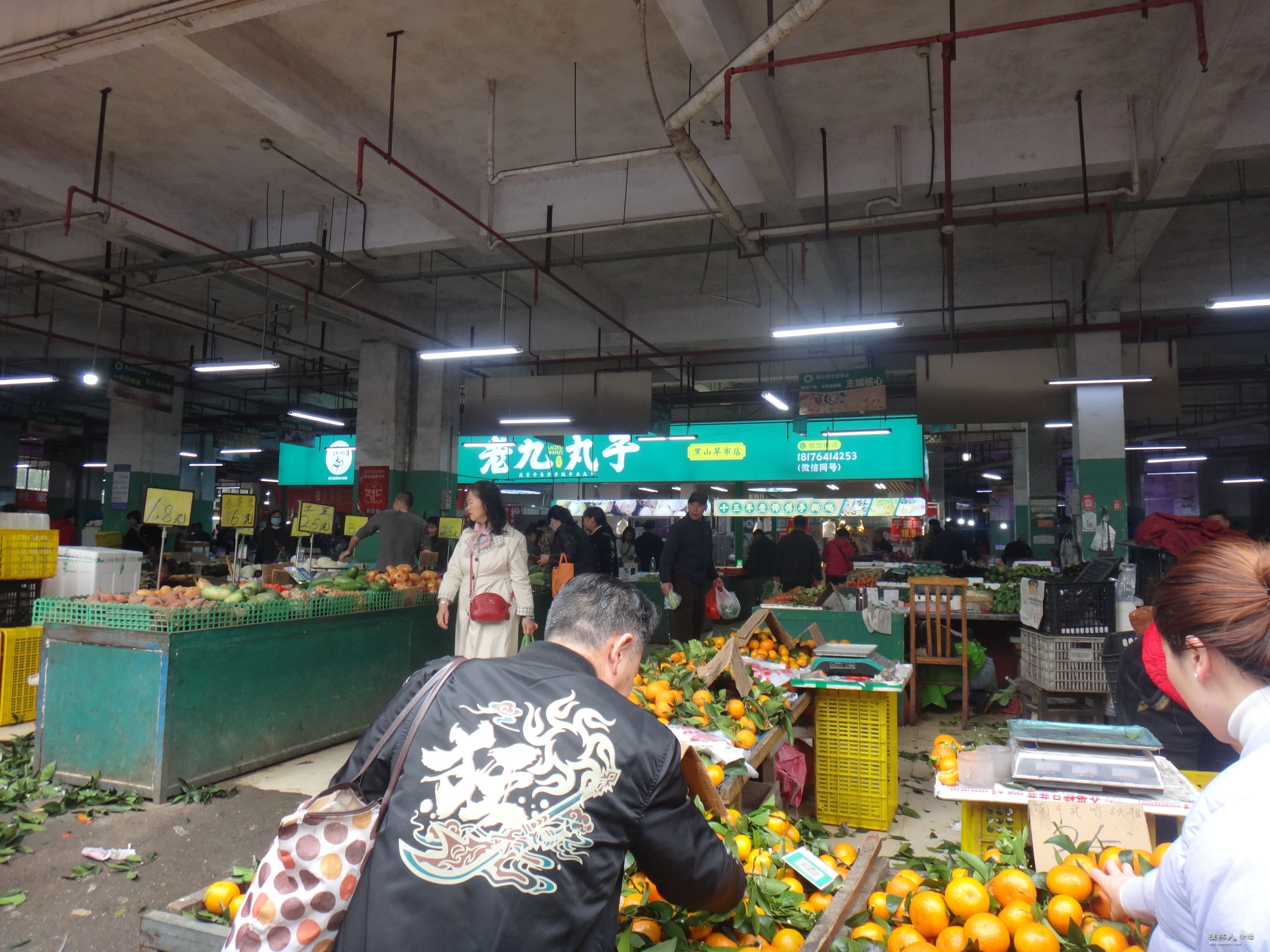 DSC08186.JPG