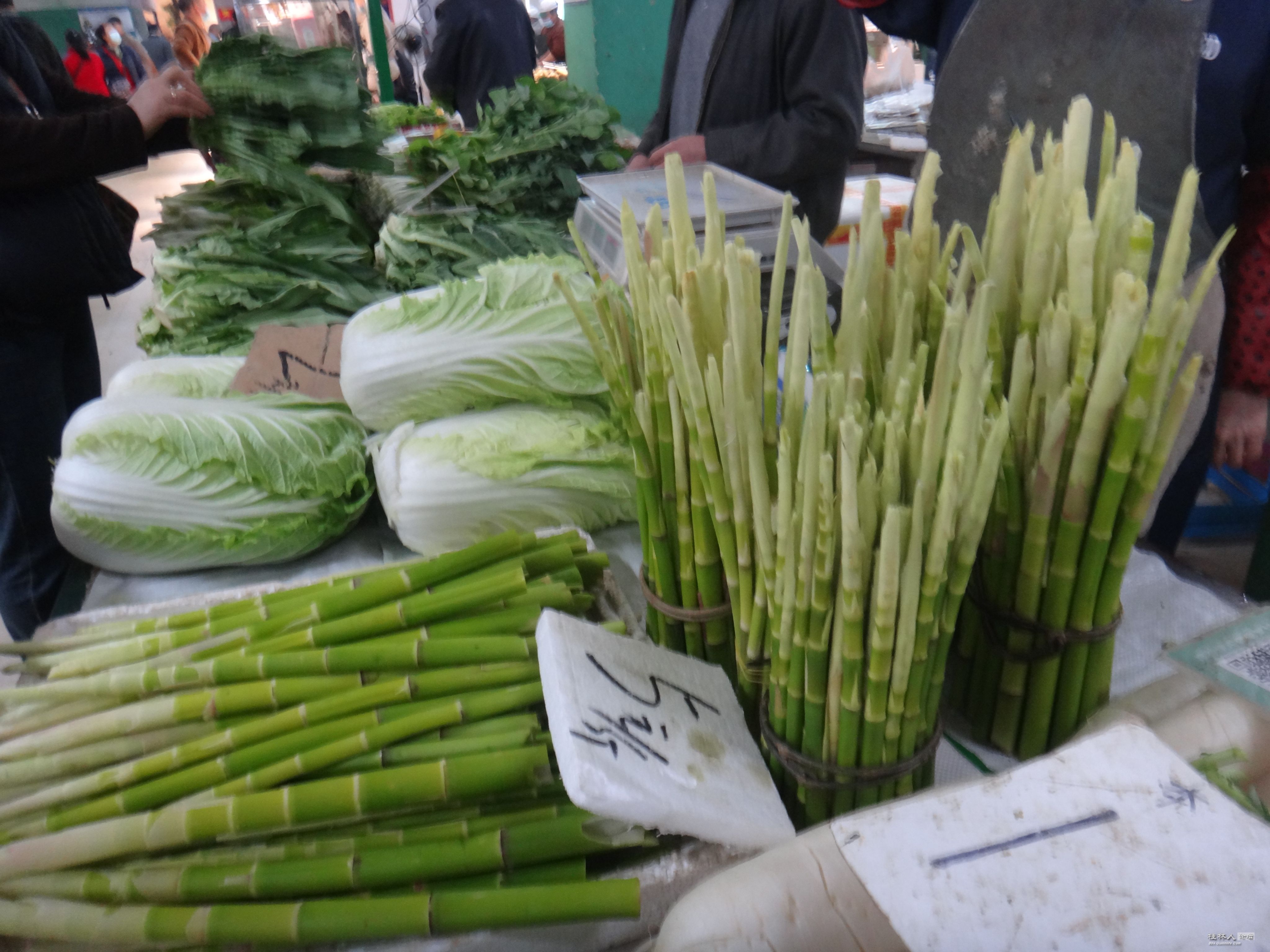 DSC08180.JPG