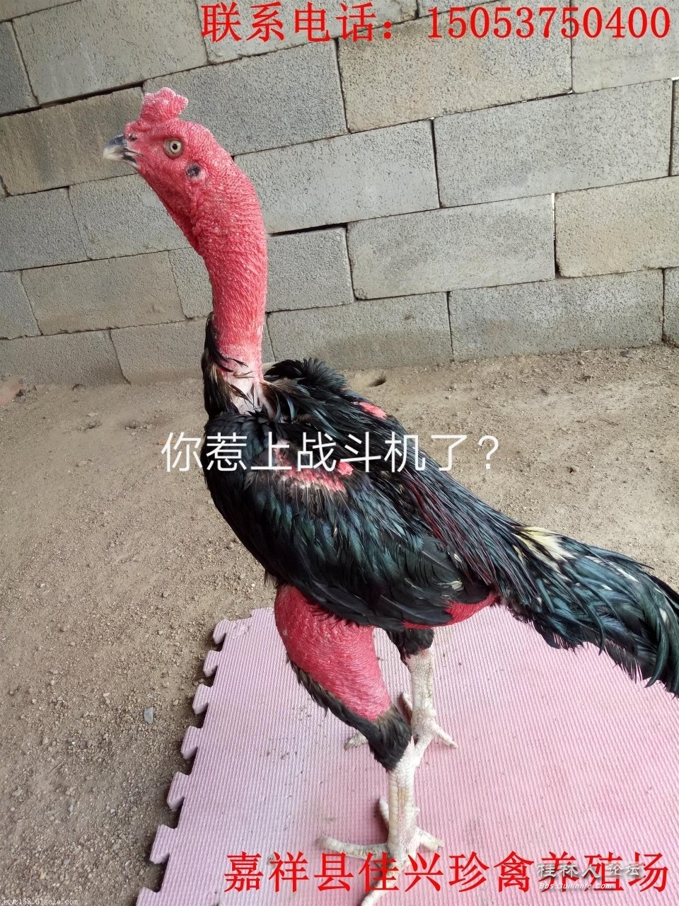 ͼ202405061413221100.png