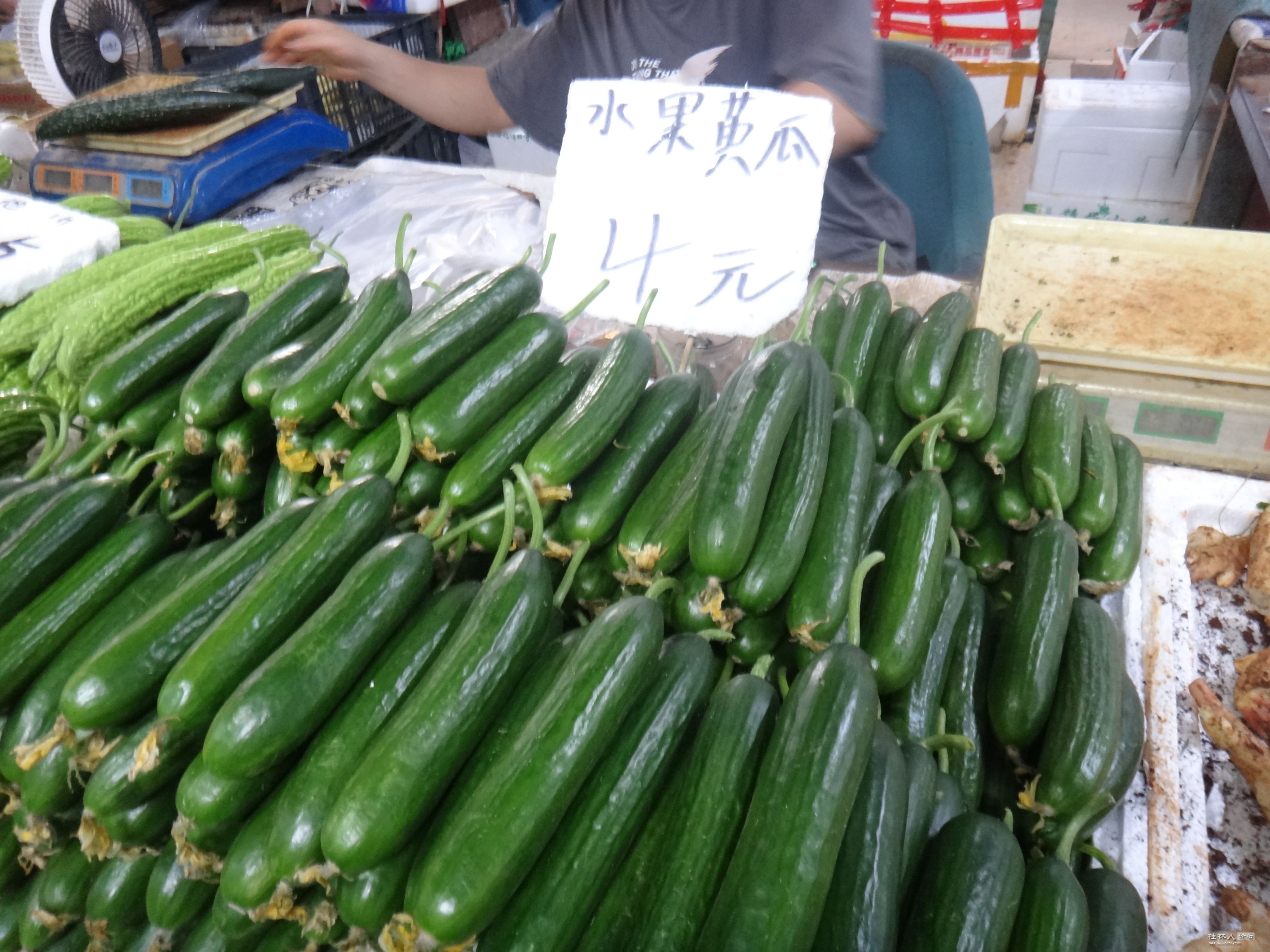 DSC08363.JPG