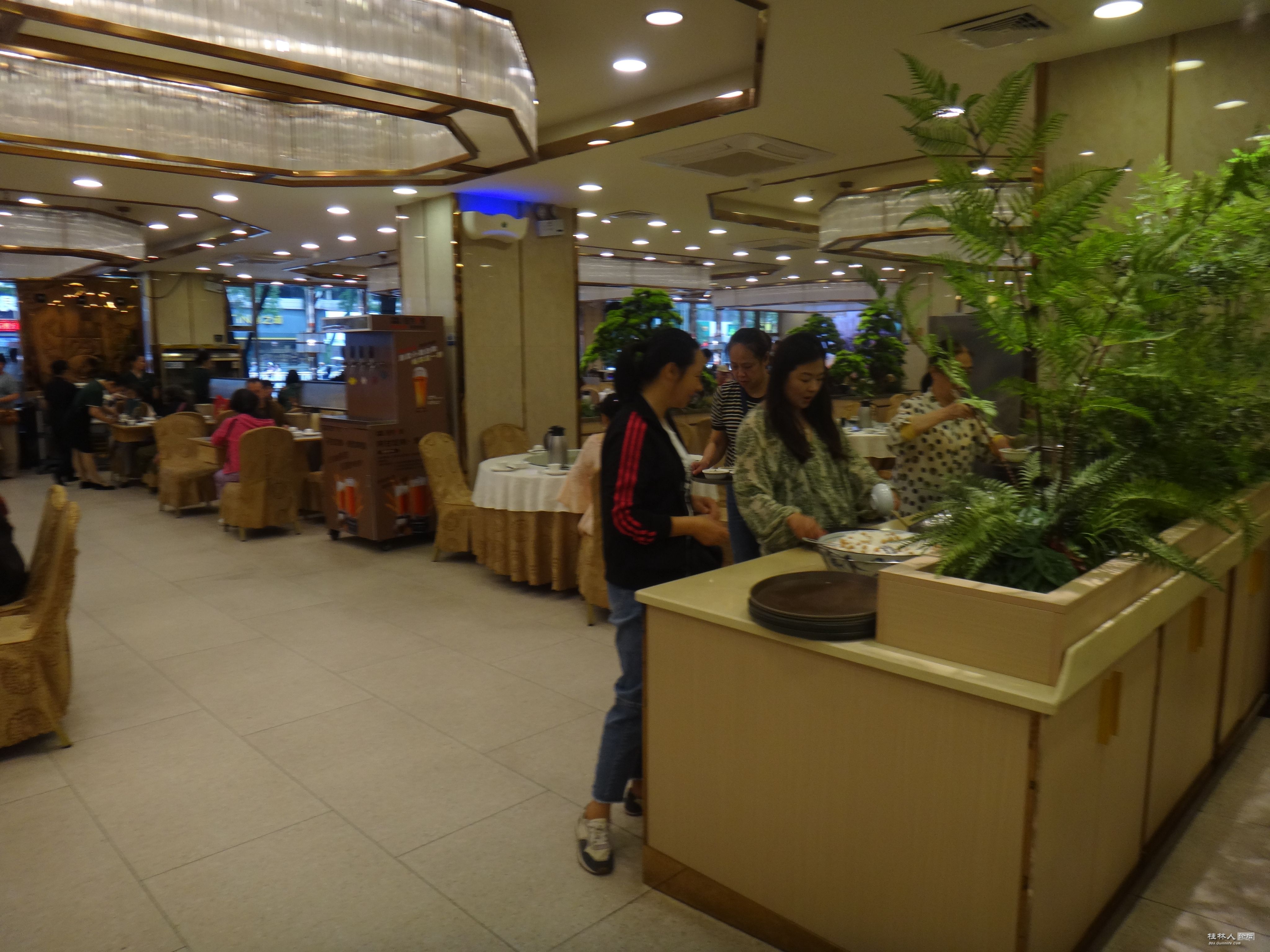 DSC08370.JPG