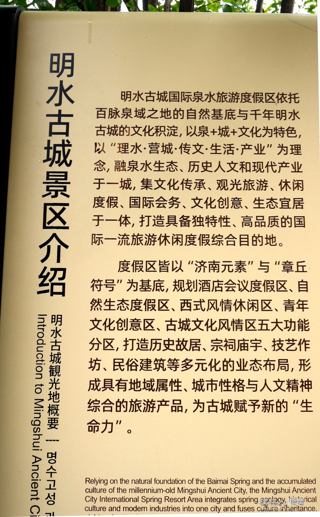 P1150851_.jpg
