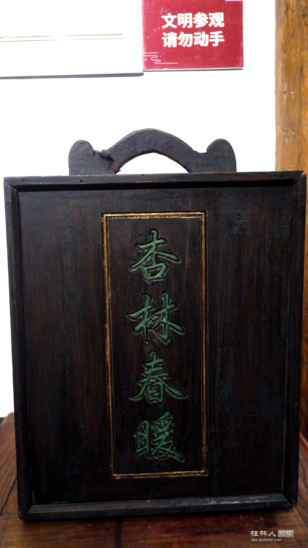 P1150773_.jpg