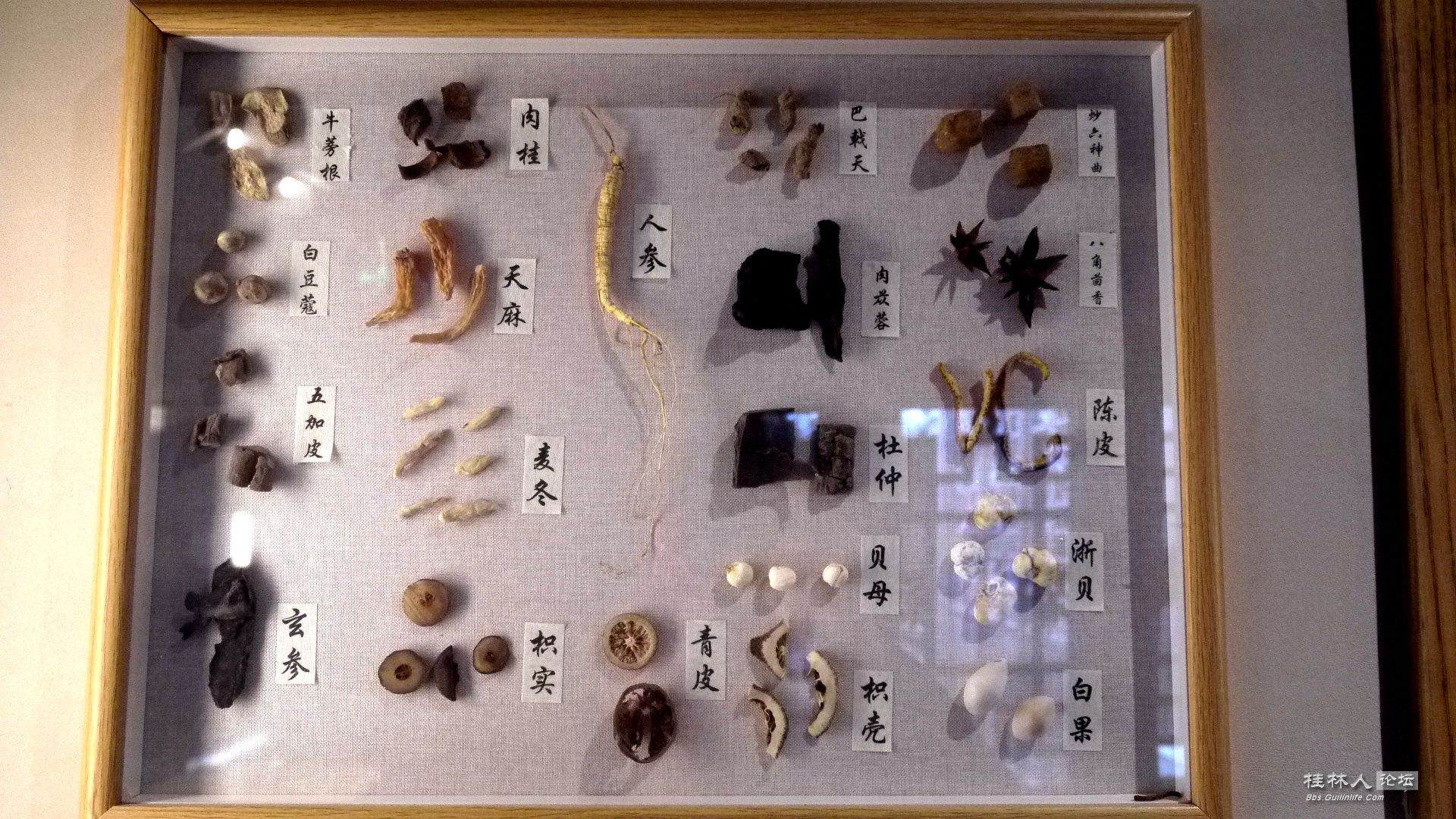 P1150857_.jpg
