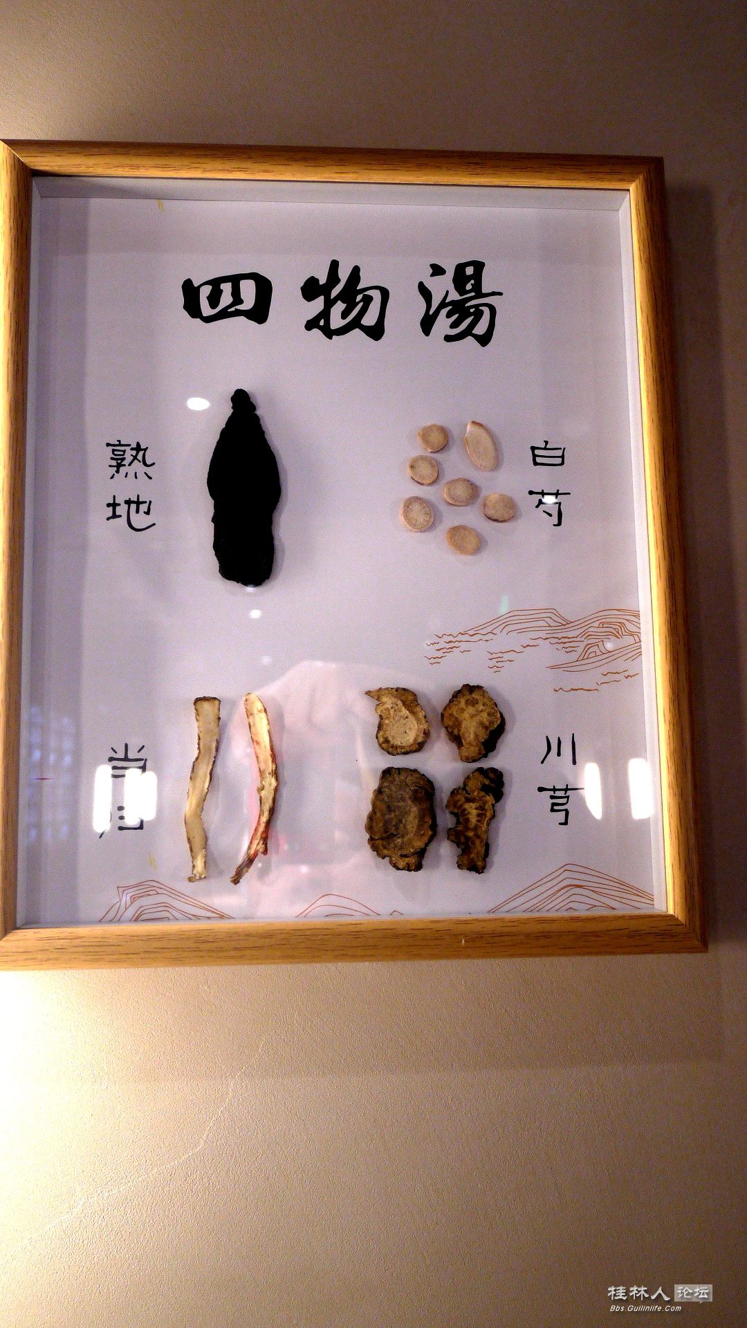 P1150858_.jpg