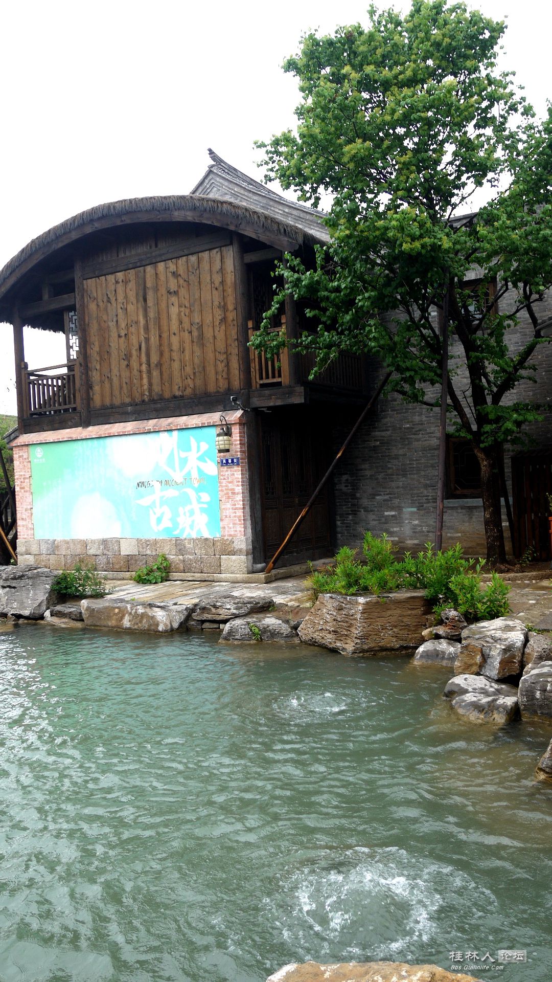 P1150798__.jpg