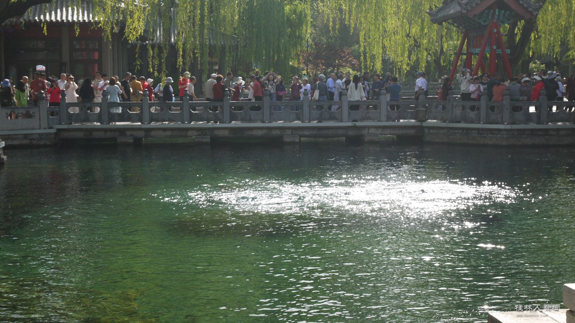 P1160168__.jpg