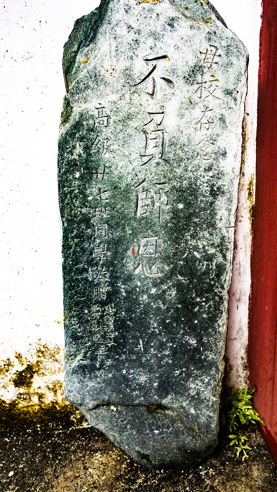 DSC03493.jpg