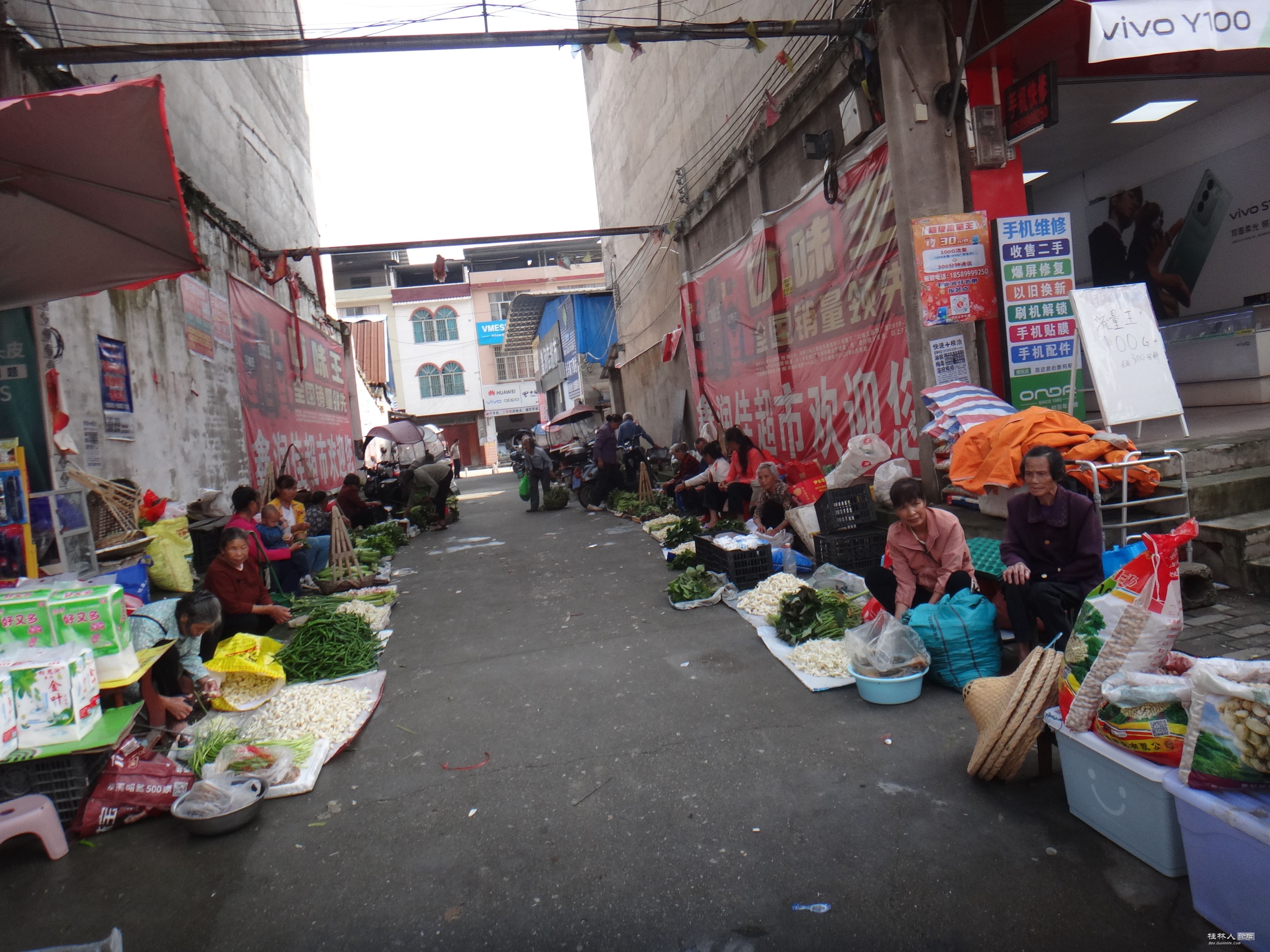 DSC08558.JPG