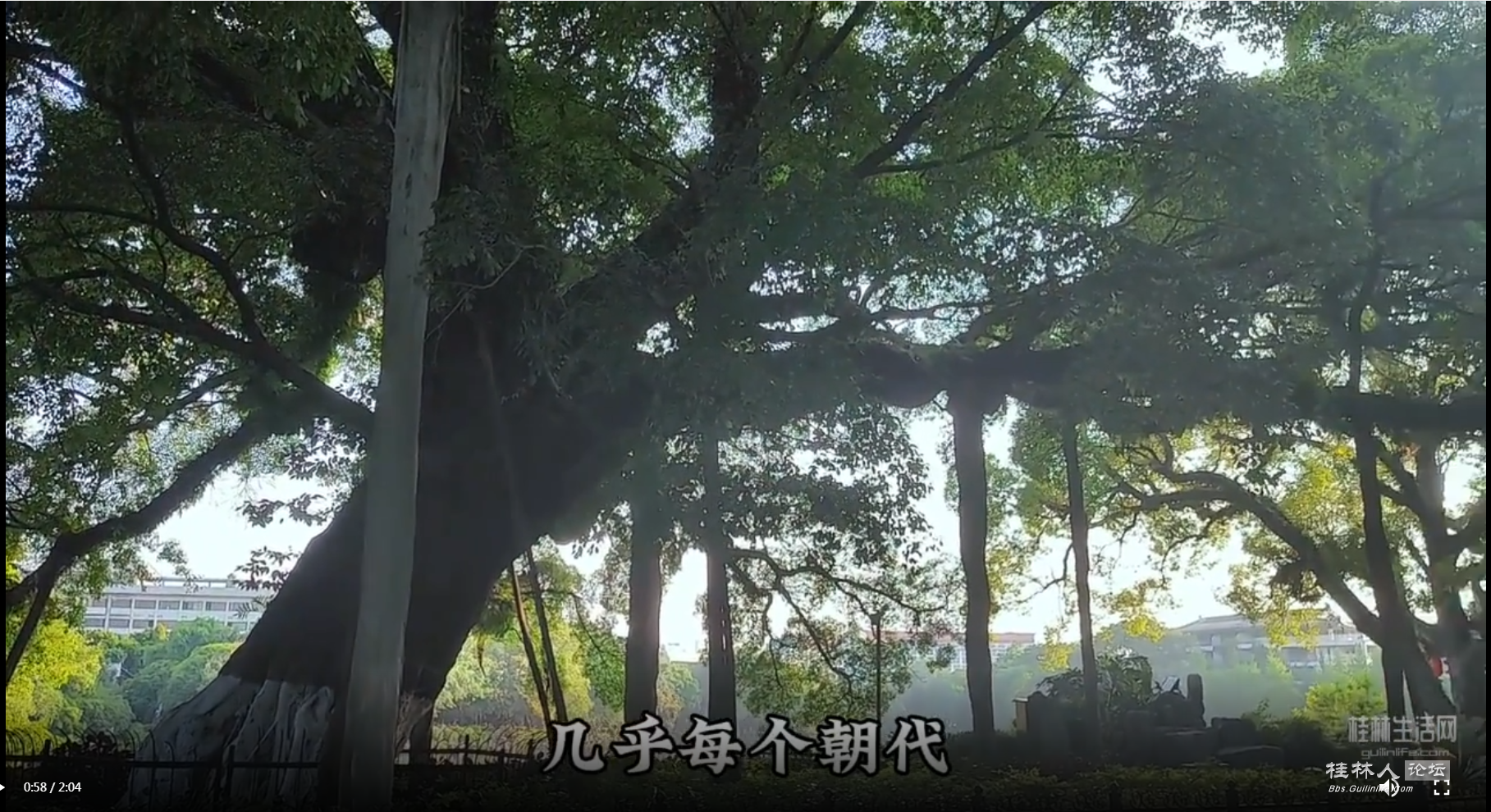 Snapshot_240528204017.png