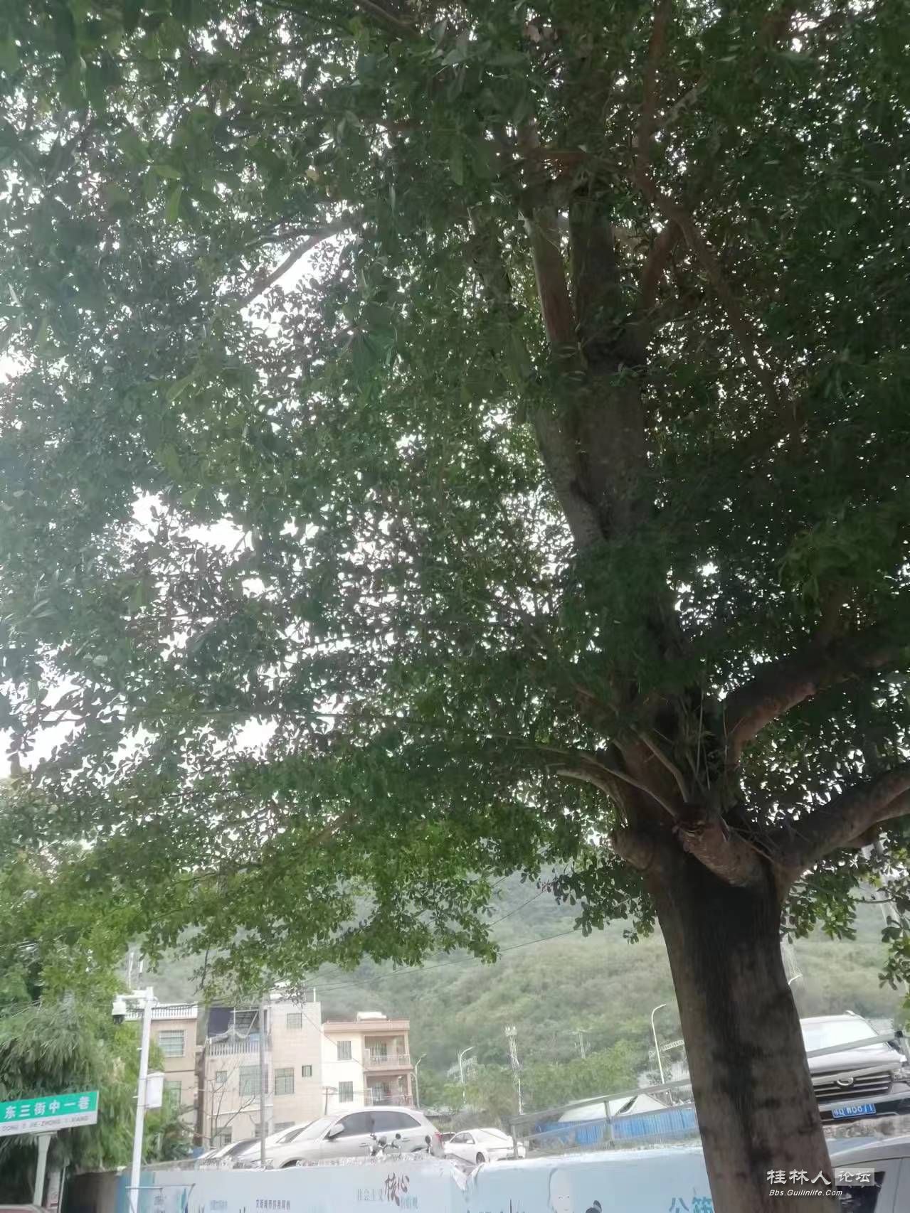 773252241.jpg