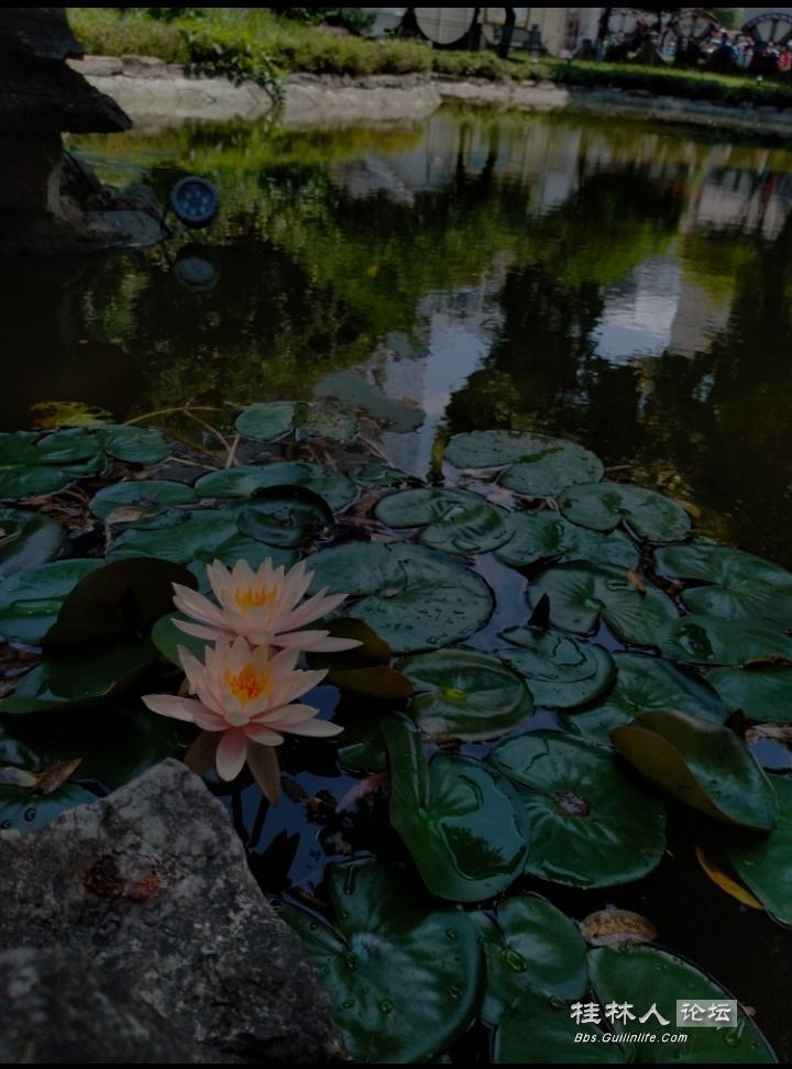 Screenshot_2024-06-09-13-29-59-53_99c04817c0de5652397fc8b56c3b3817.jpg