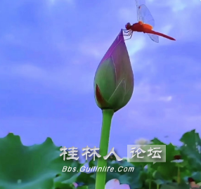 ΢ͼƬ_20240703085918.png