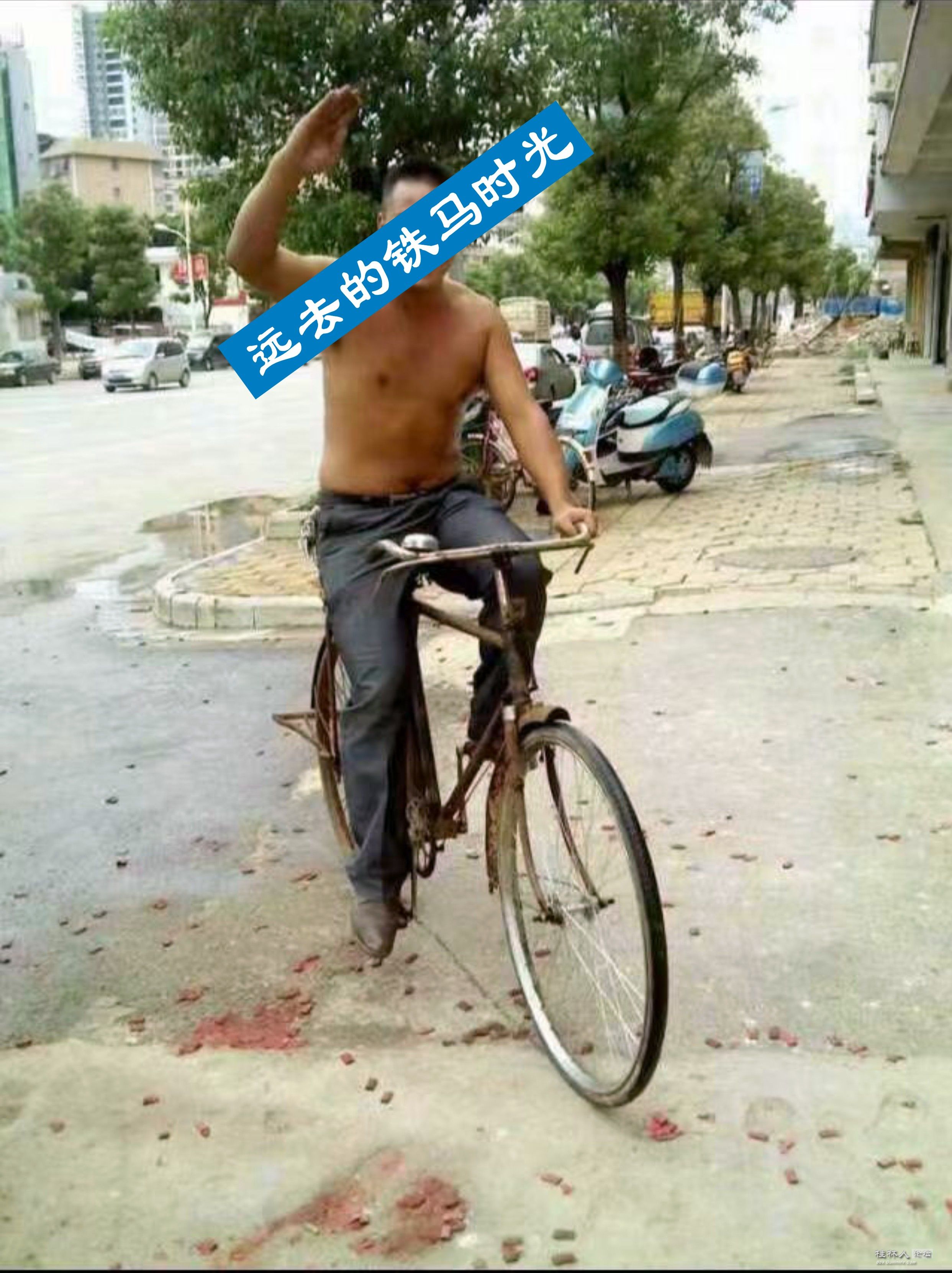 .jpg