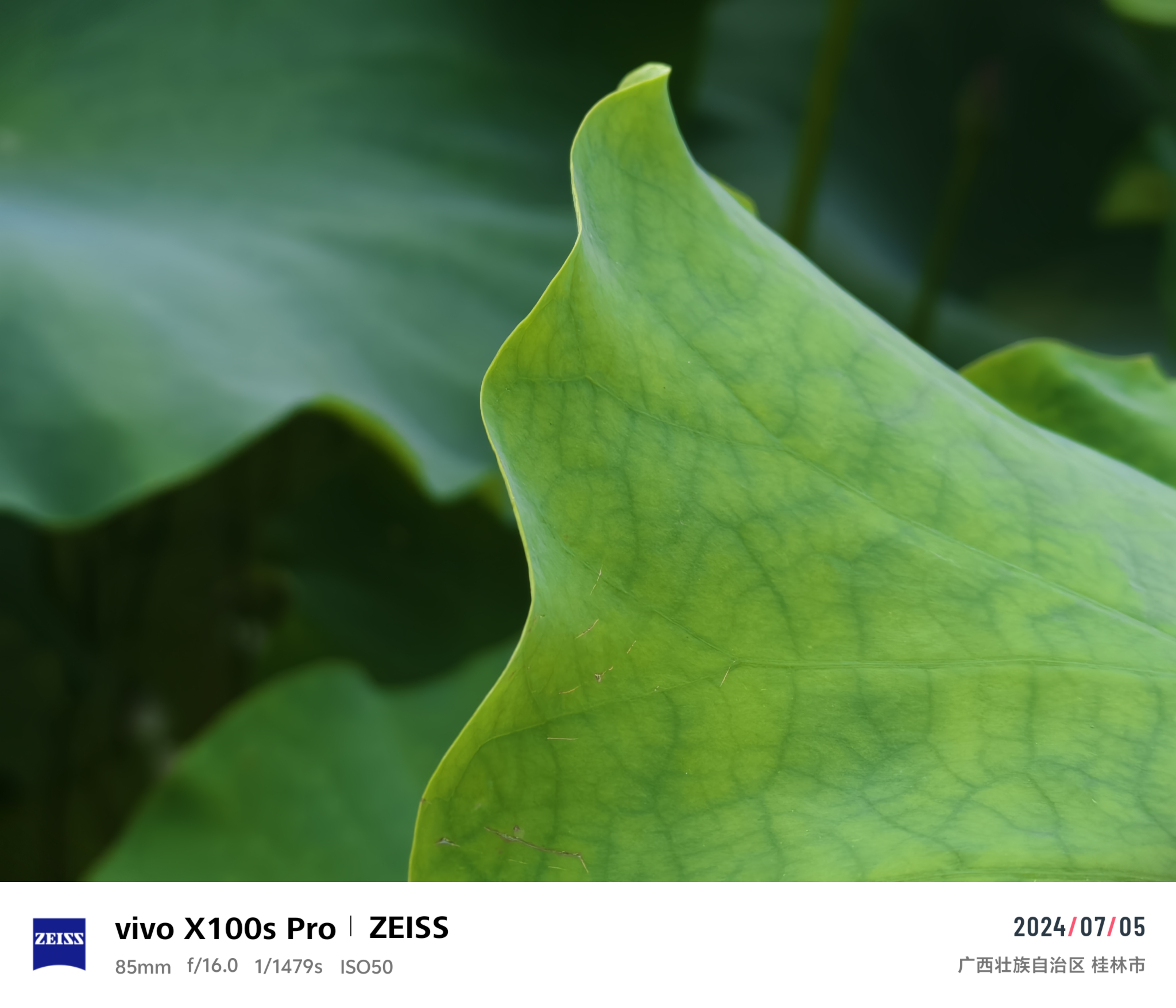 ΢ͼƬ_20240705165233.jpg