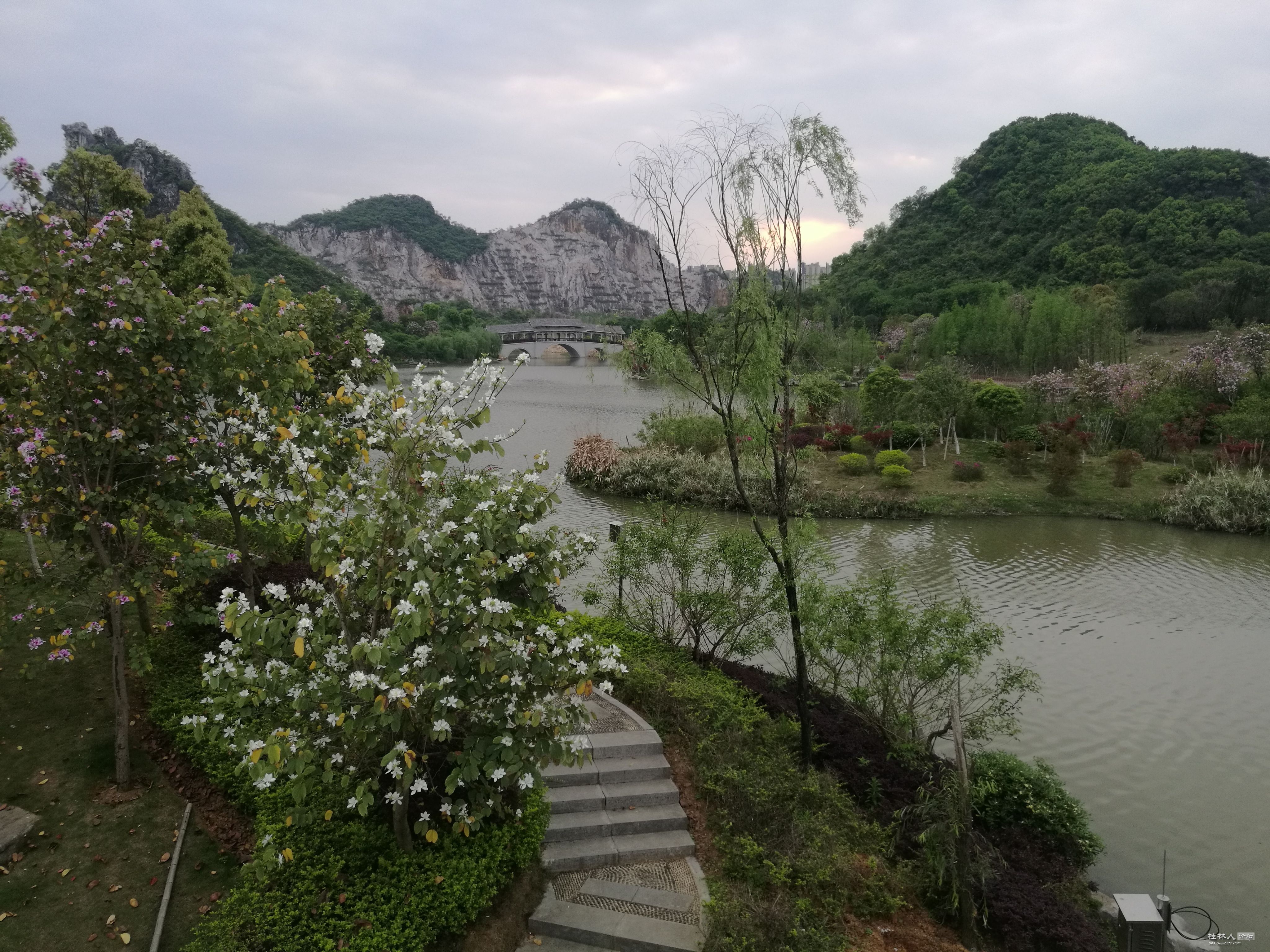 IMG_20180403_181011.jpg
