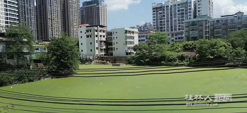35712bf11c16b50e2d35fc02c0823ca.jpg
