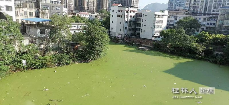 eb0ec6811650e02b56f8362468a87e1.jpg