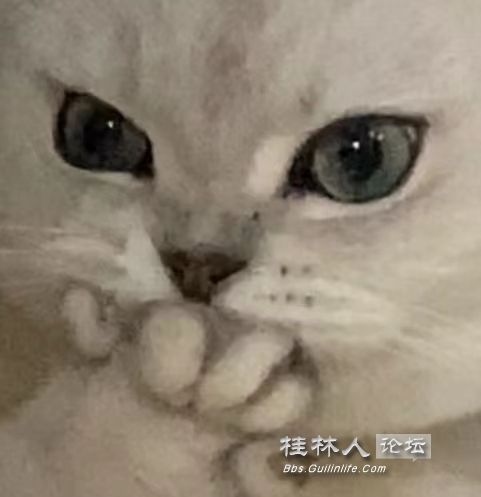 ΢ͼƬ_20240808162920.jpg