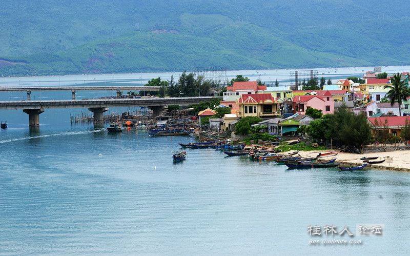 DSC08203_.jpg