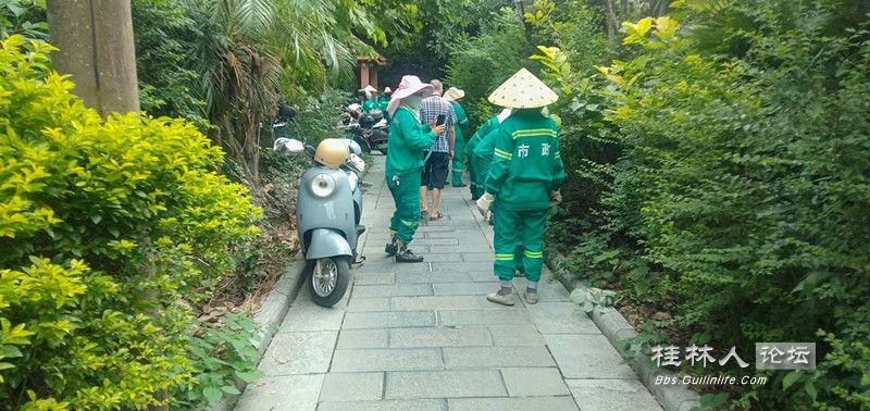 IMG20240812083924.jpg