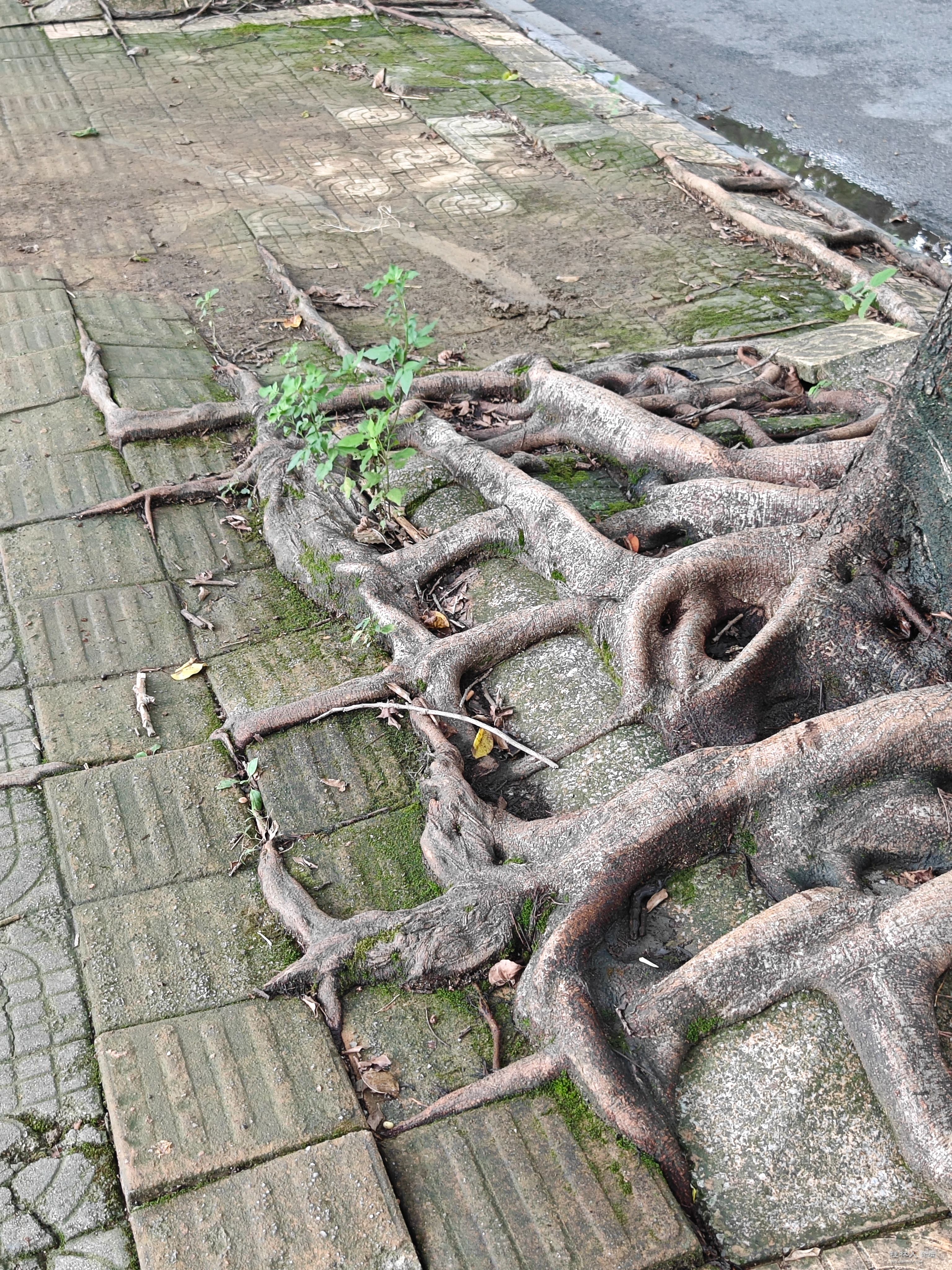 ΢ͼƬ_20240814180229.jpg