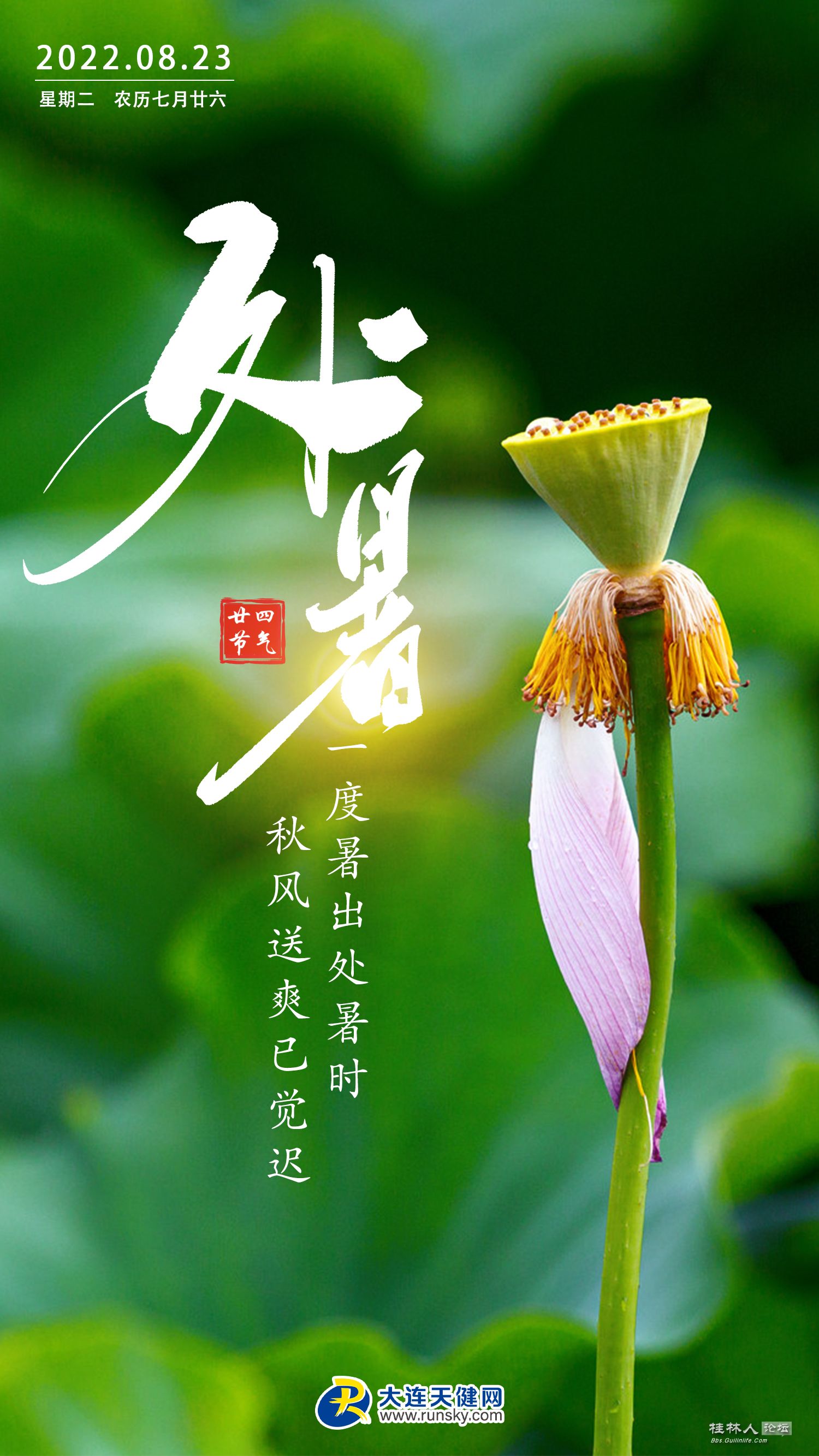 7b962cd0-9339-4a97-8dde-35d5c7f8bc71.jpg