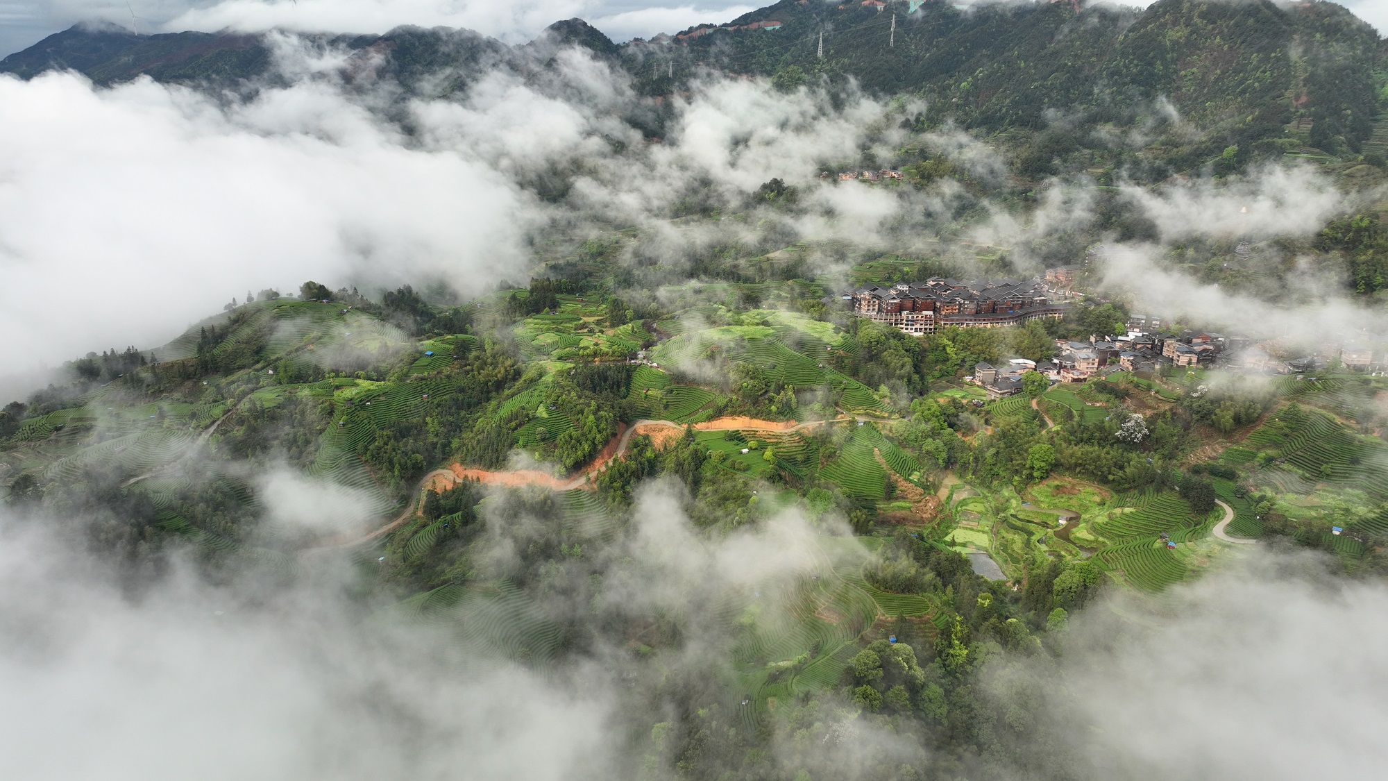 DJI_0980.JPG