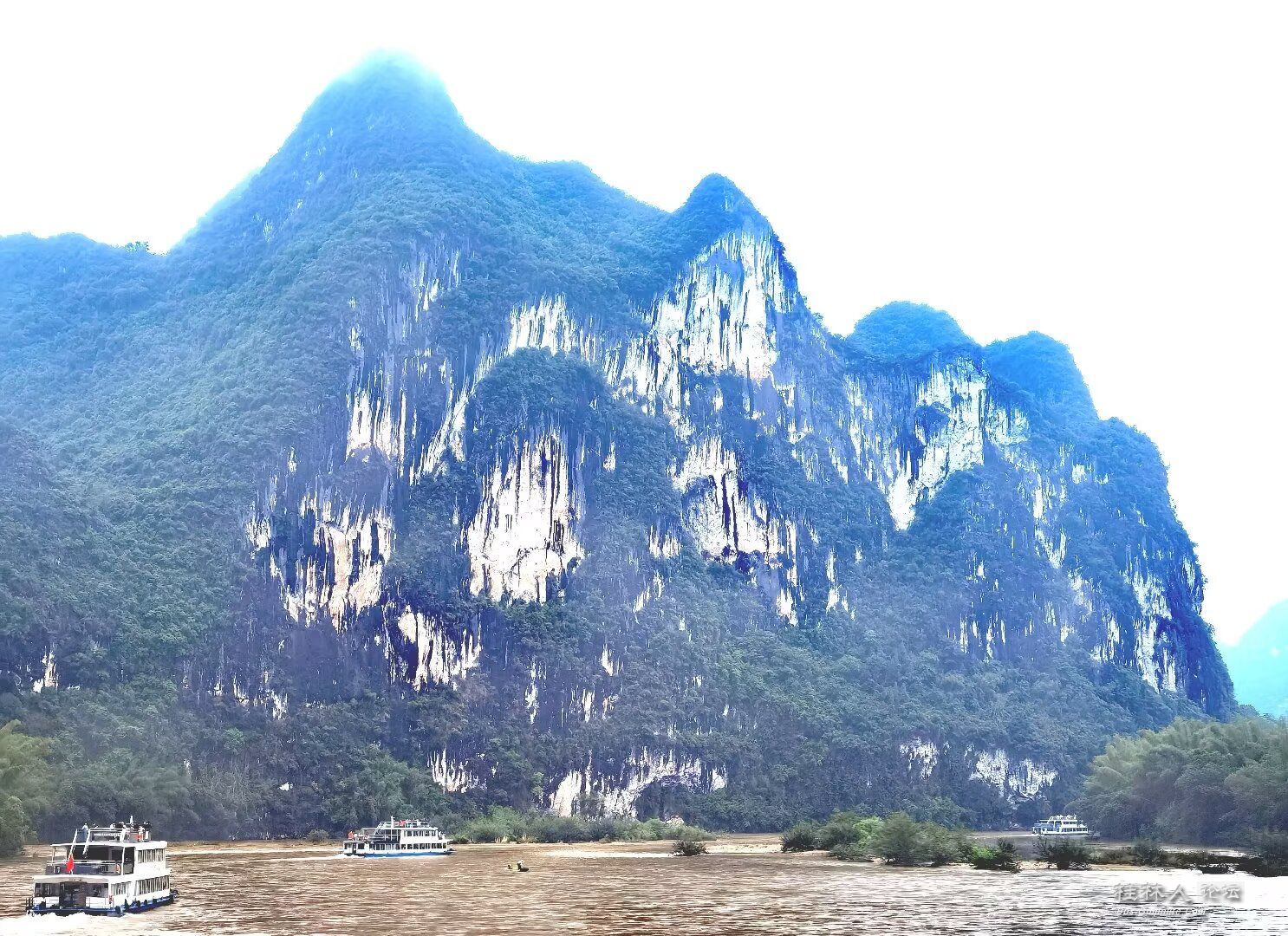 Image_1725668209026.jpg