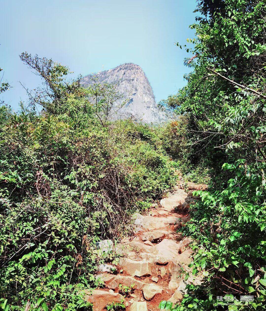 Image_1726216908823.jpg